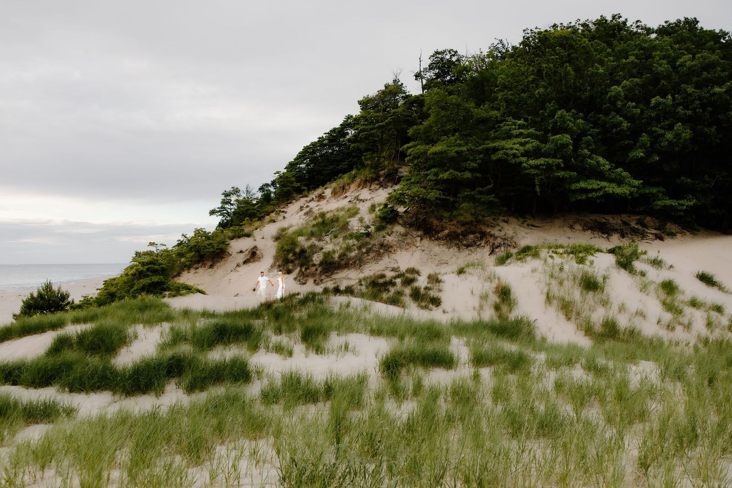 Sandy coastal dune with lush green trees on top, wild grass in foreground, and overcast sky over calm sea.
