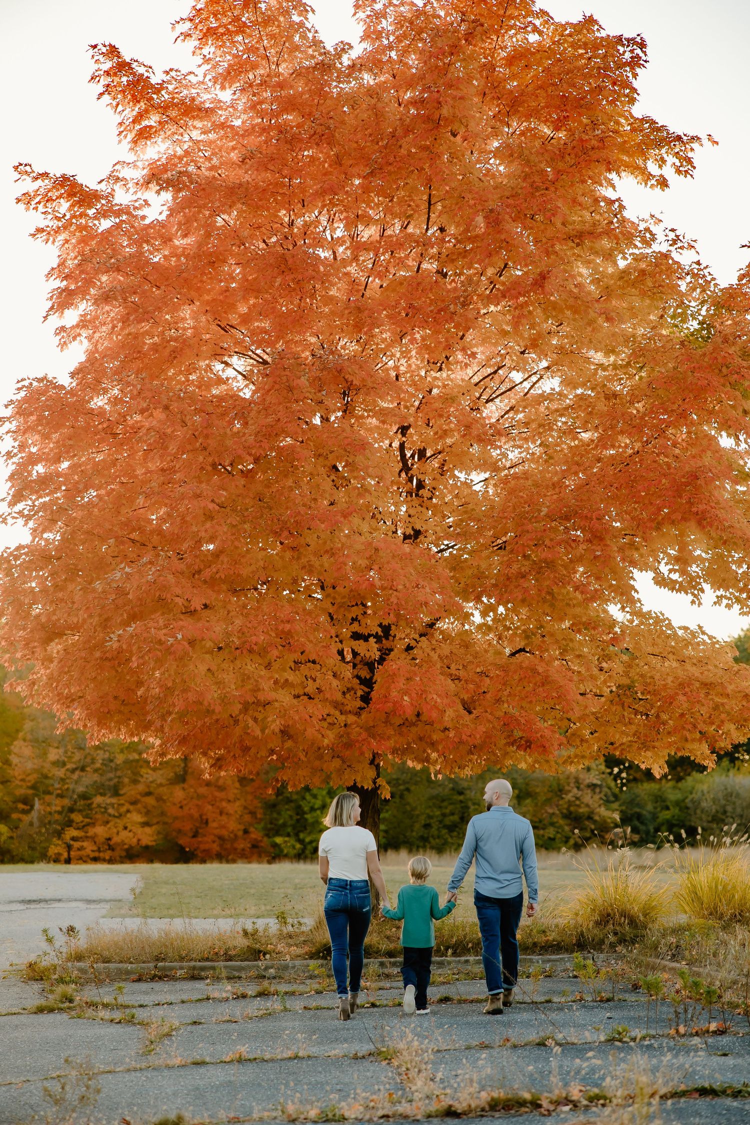 Three people walk hand in hand through a scenic autumn landscape with vibrant orange maple trees overhead.