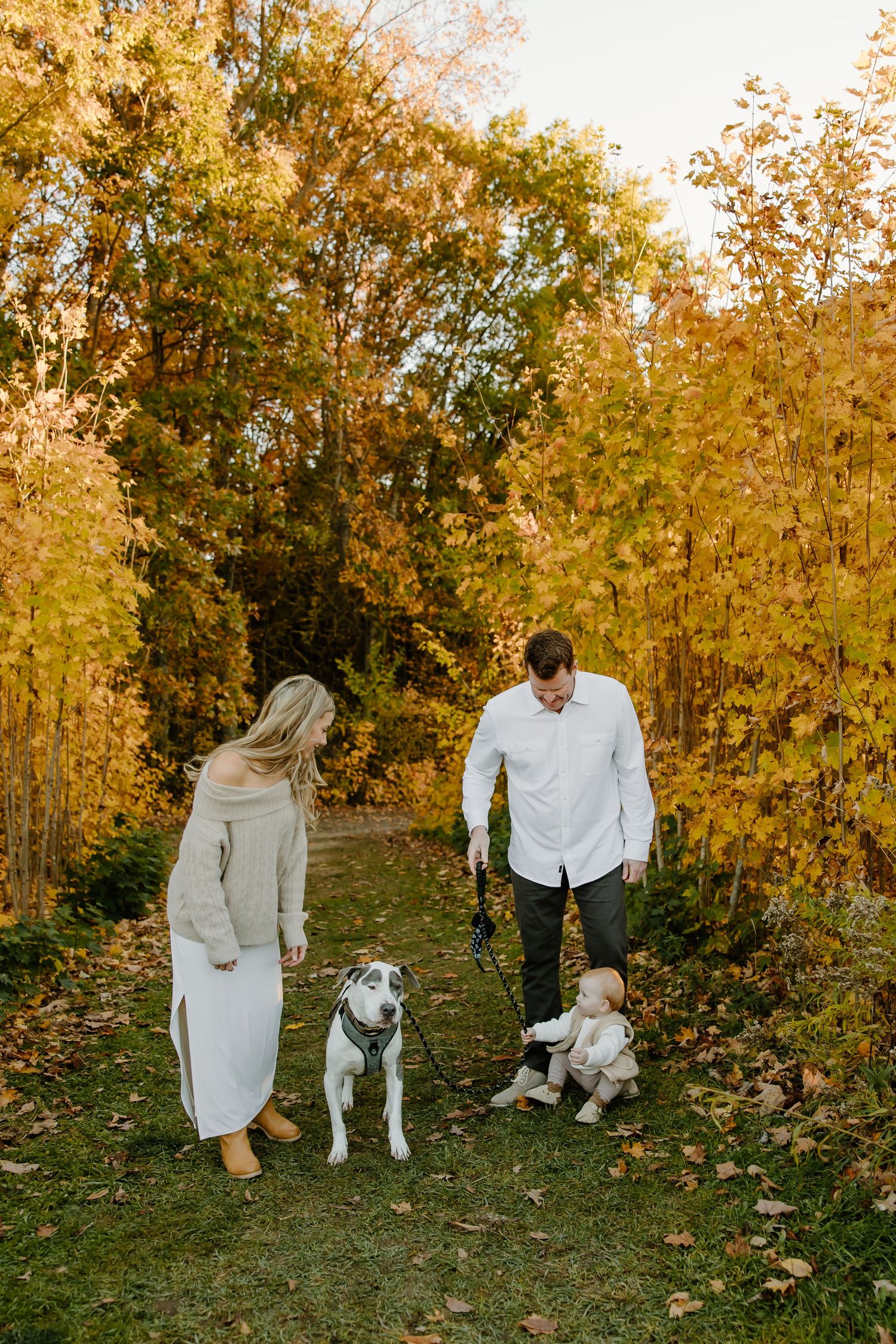 Family and dogs enjoying autumn day outdoors with golden trees in background.