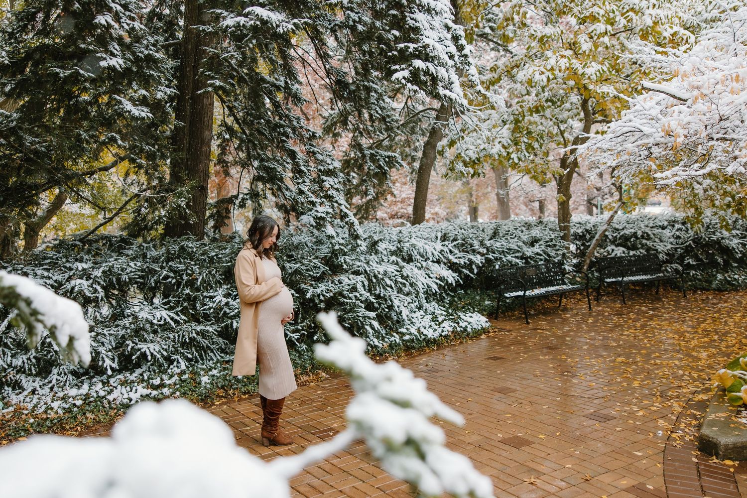 A snowy outdoor photoshoot scene with autumn leaves and white-covered evergreen trees in the background.