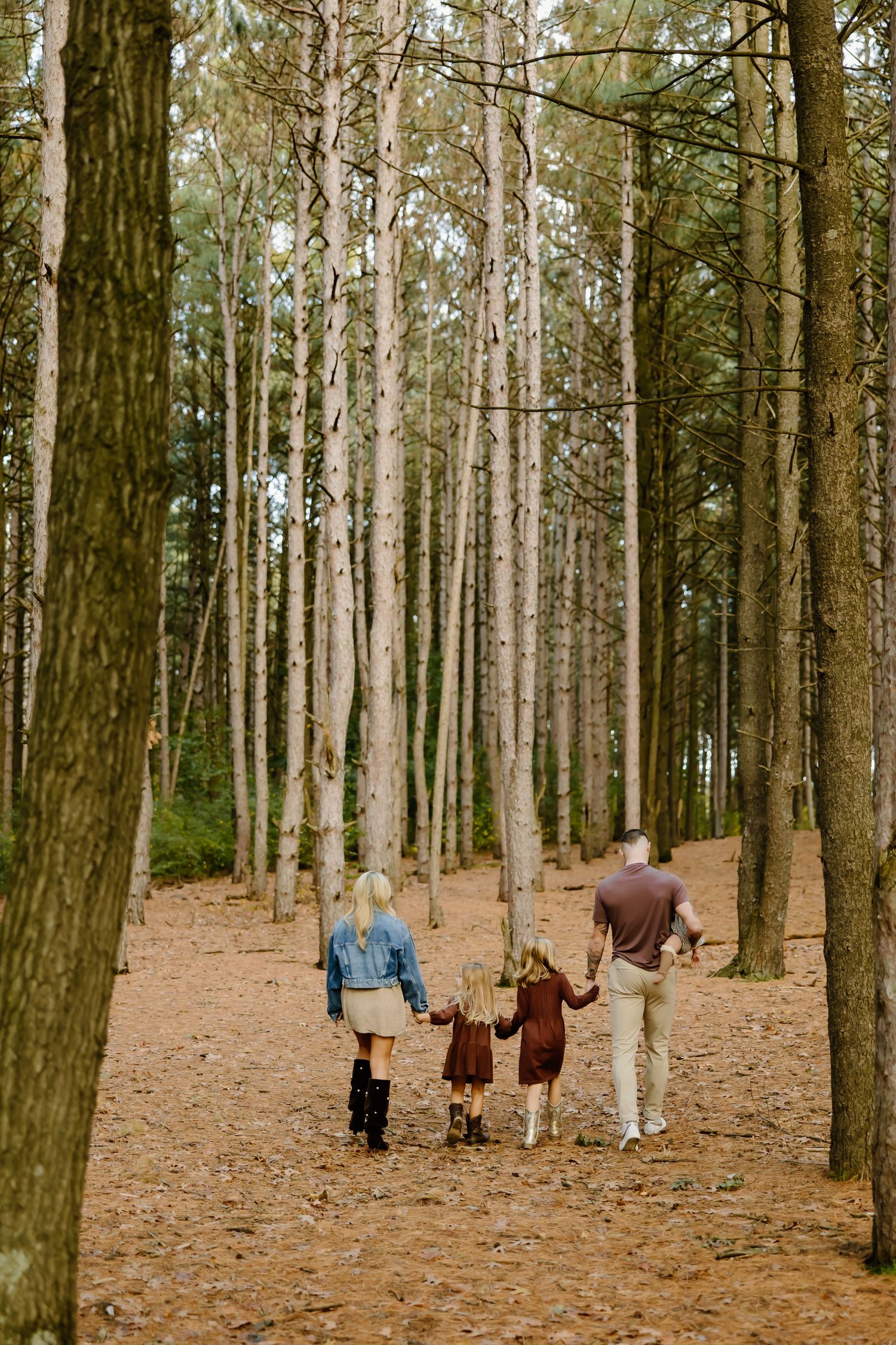 Wide view of family walking through pine forest with fallen leaves on ground.