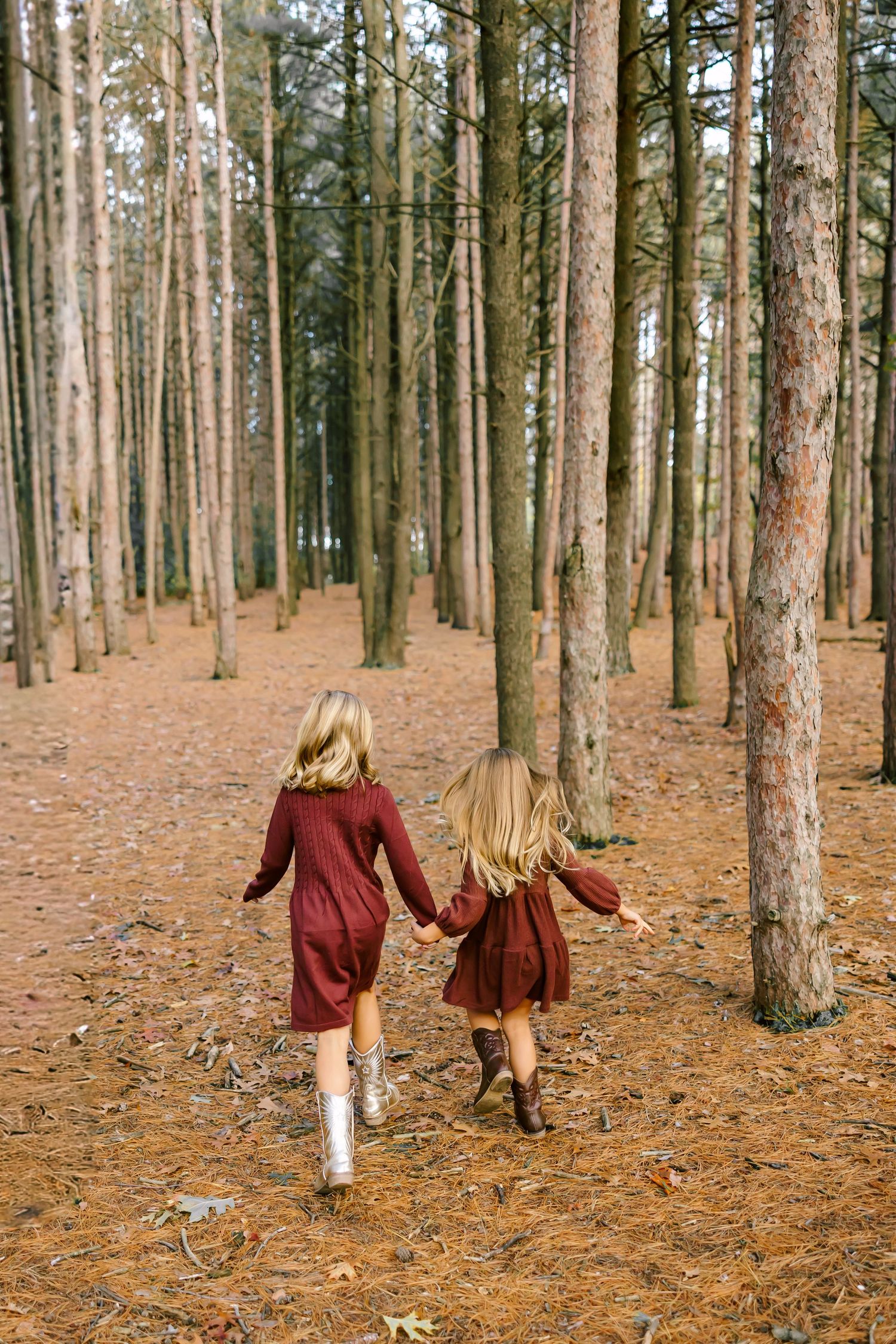 Children in burgundy dresses walking through a pine forest with fallen needles.