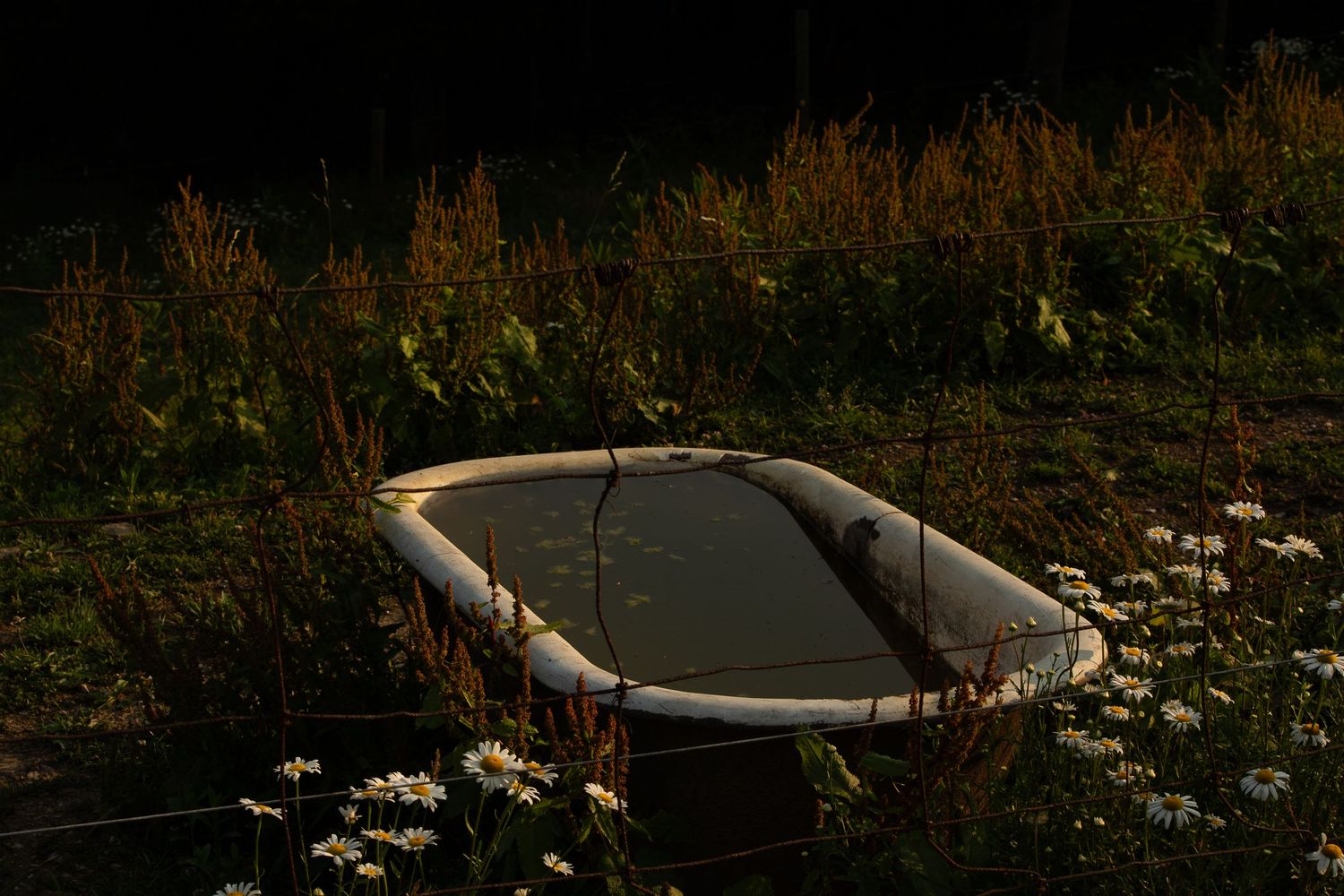 Treble H Photography Farm Documentary