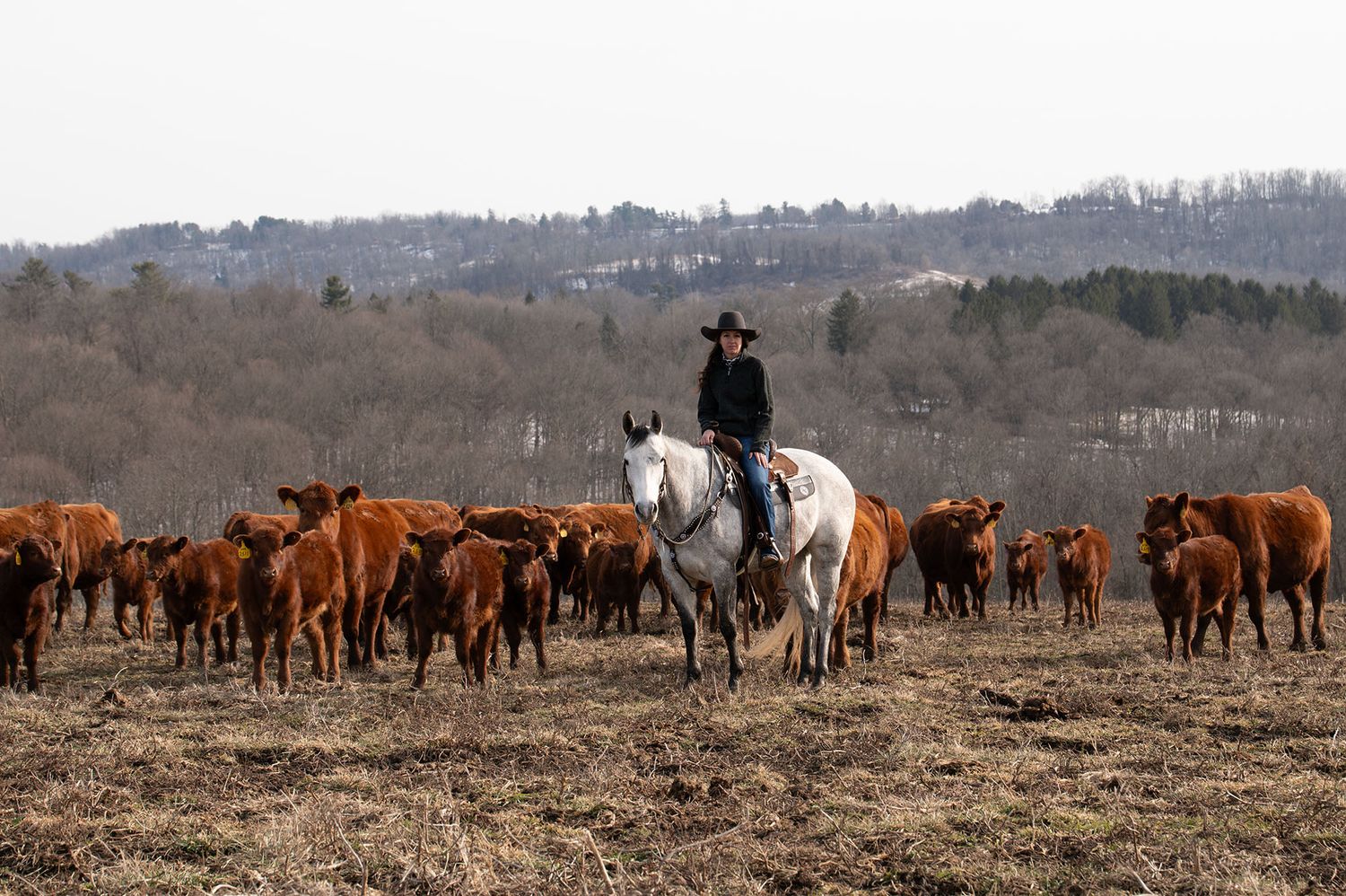 Treble H Photography Horse & Rider