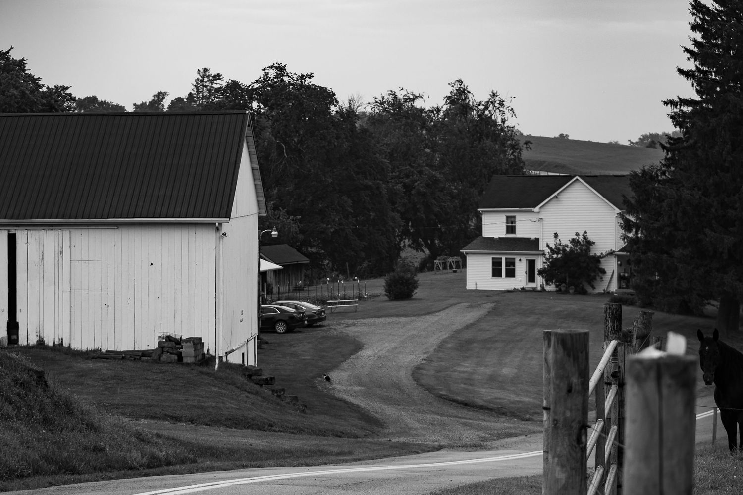 Treble H Photography Farm Documentary
