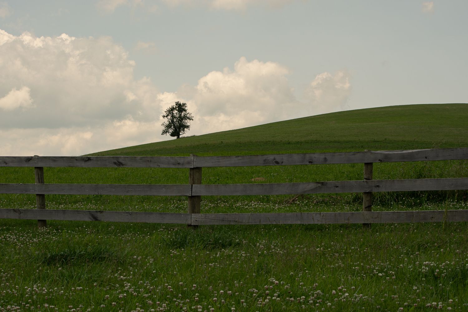Treble H Photography Farm Documentary