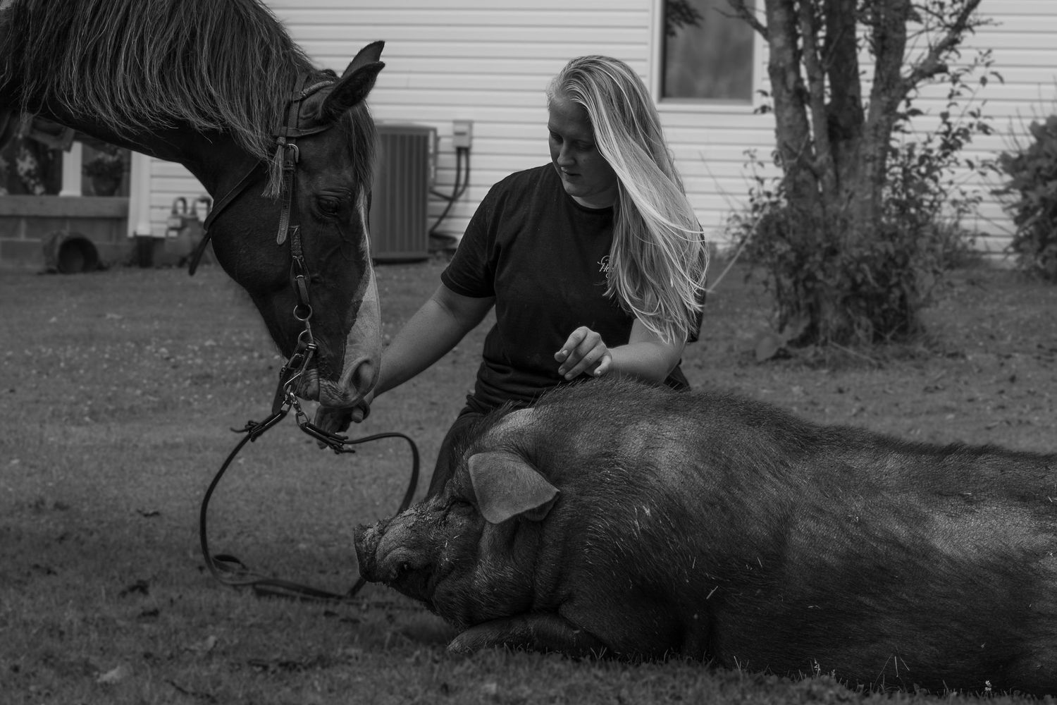 Treble H Photography Farm Documentary
