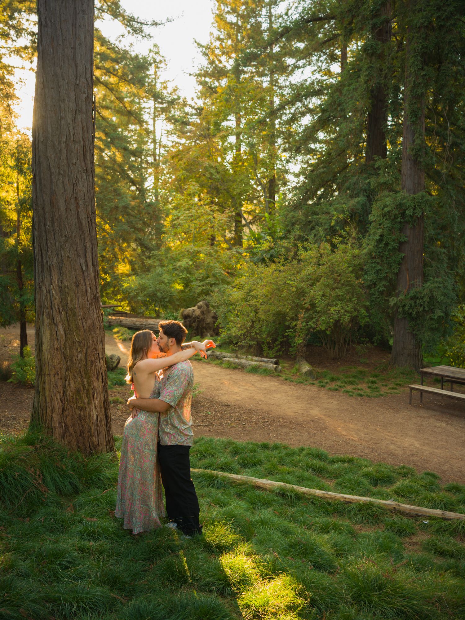A couple poses playfully in a sunlit forest setting with tall pine trees.