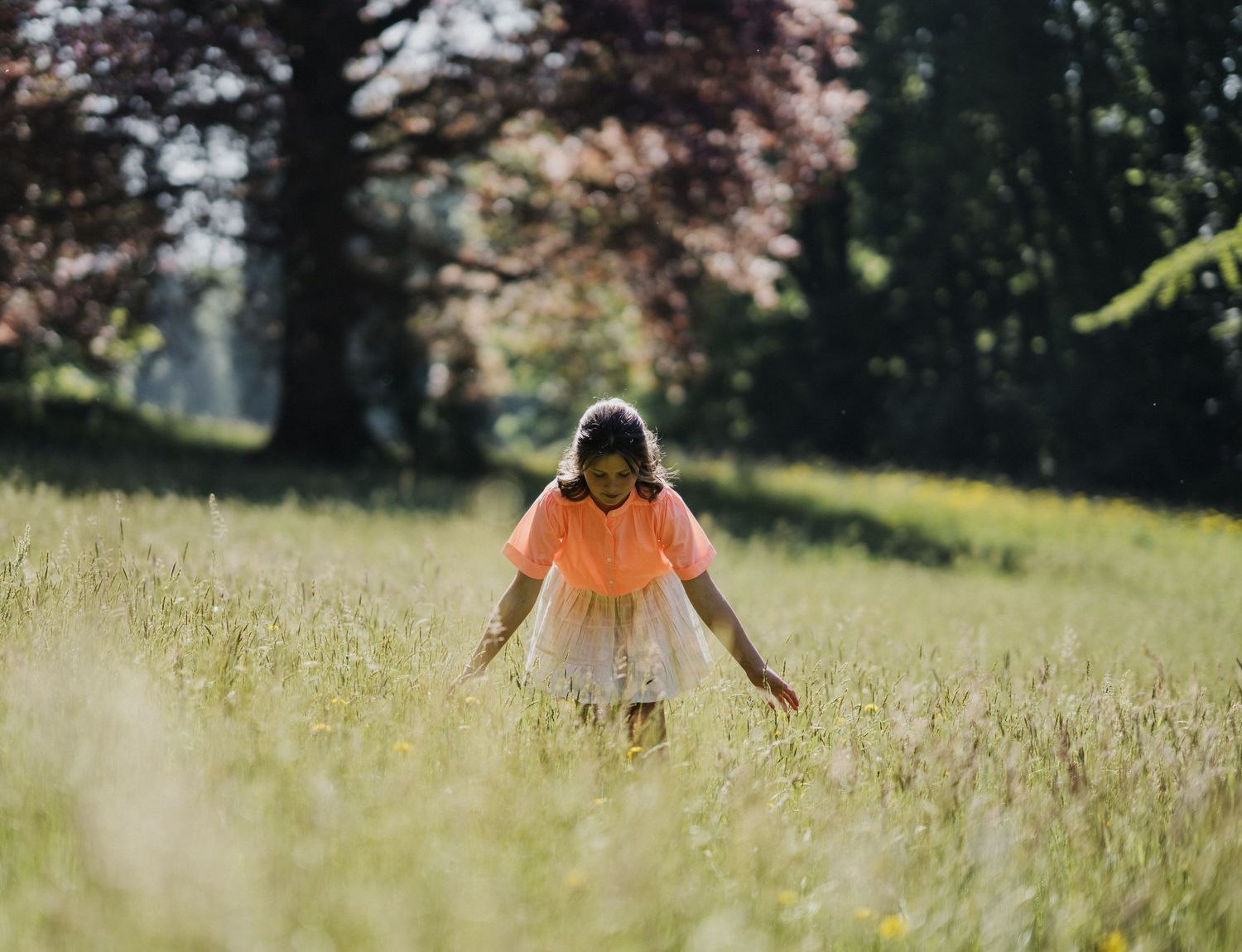 Person in bright clothing walking through a golden summer meadow with trees in background.