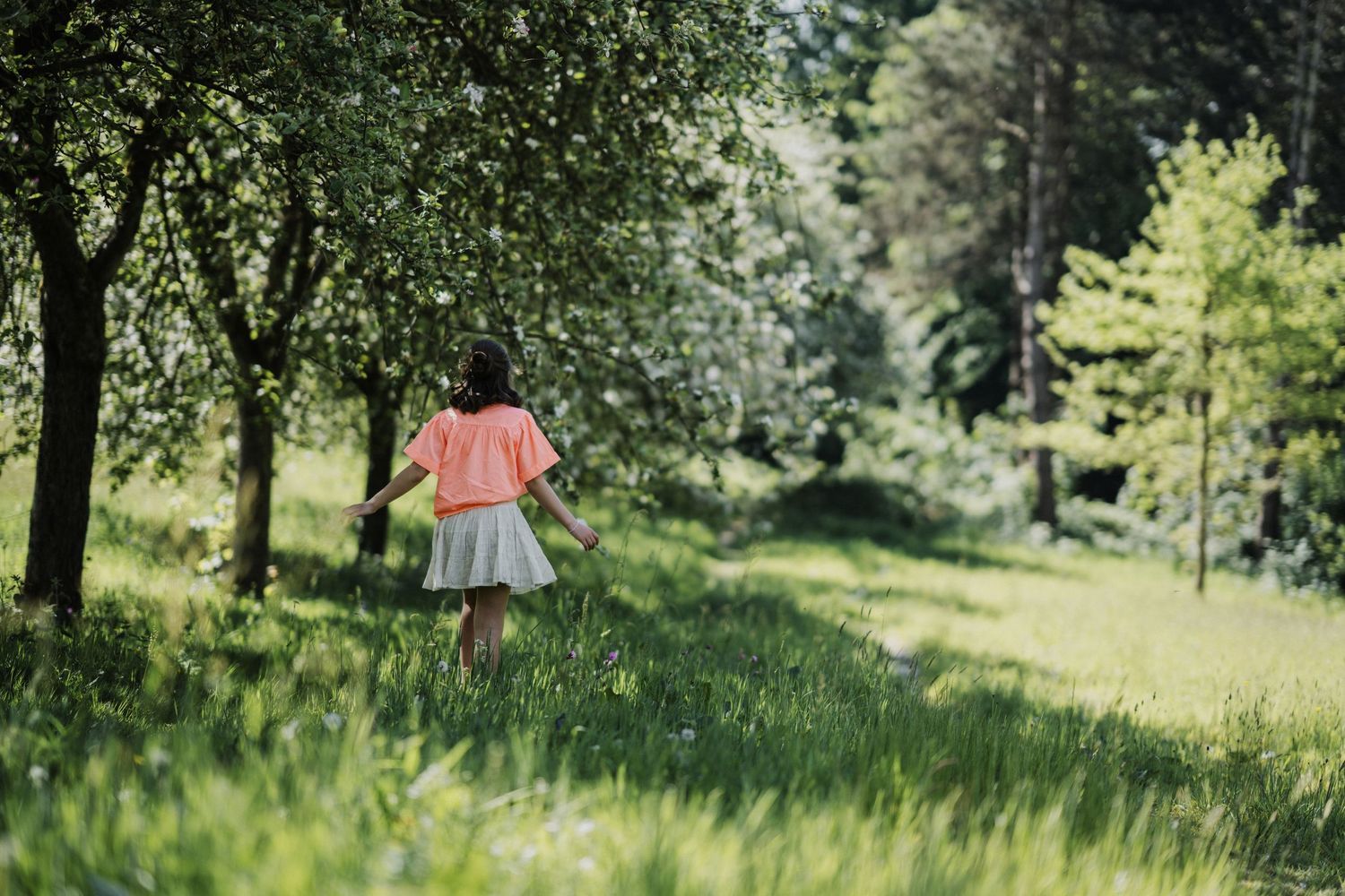 Scenic outdoor photography sequence in a lush green meadow during summer.