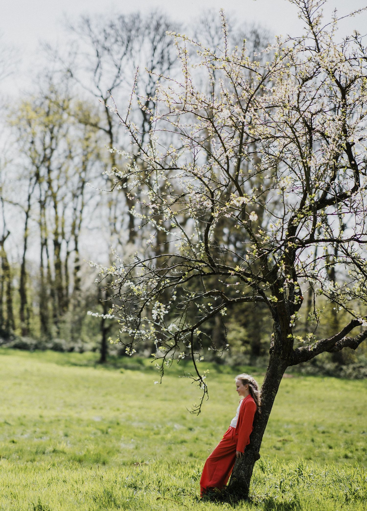 Woman in red dress leaning against a blossoming tree in a lush green meadow surrounded by bare trees.