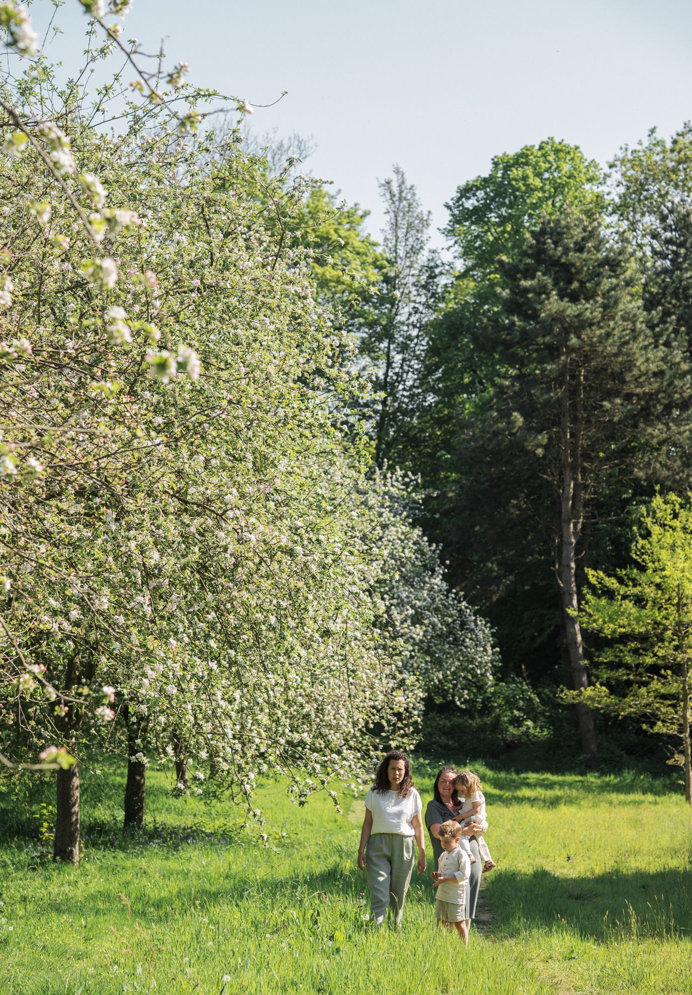 Family walking through a blooming apple orchard in springtime.