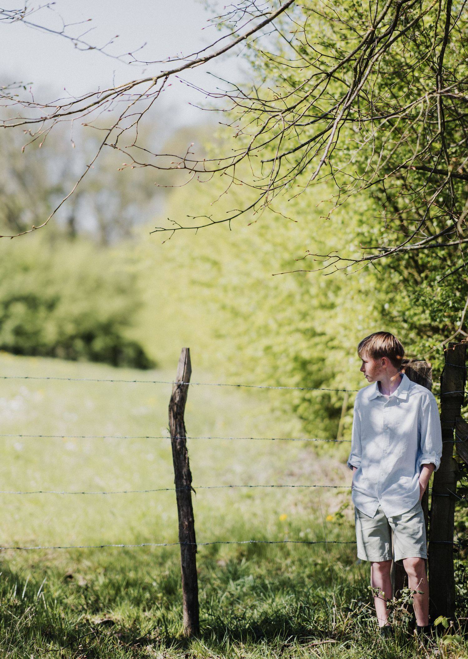 A young boy in a light blue shirt and khaki shorts stands by a barbed wire fence near trees in a lush green field.