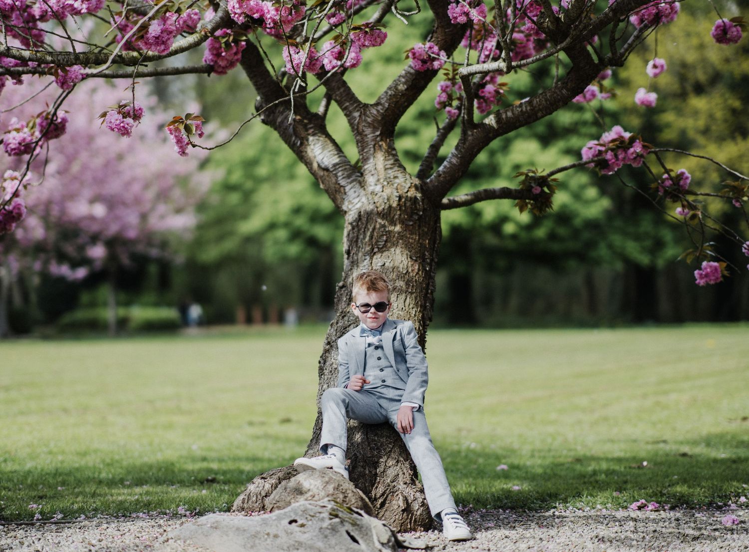 Child in sunglasses sitting under a blooming pink cherry blossom tree in a lush green park.
