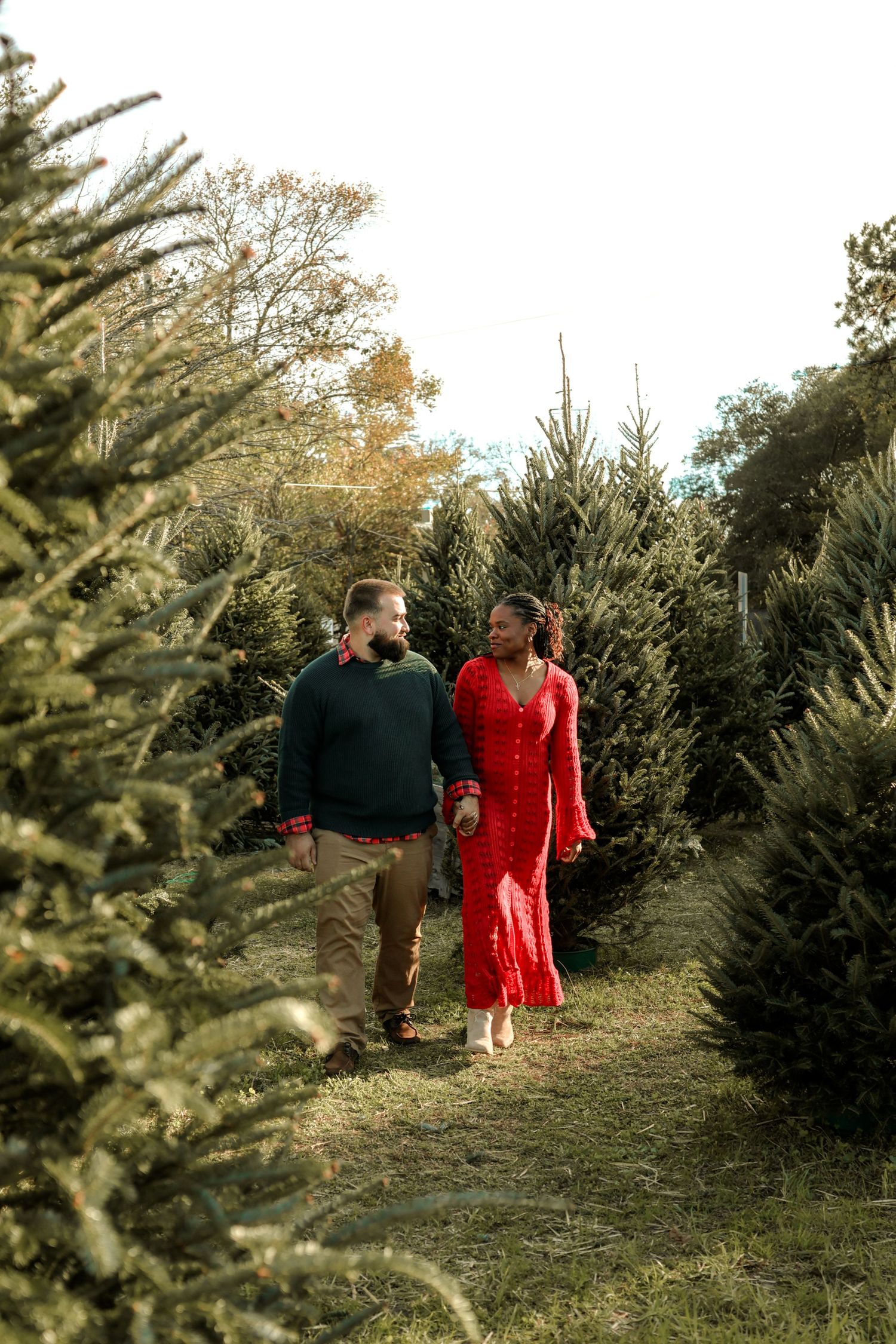 Couple walking through Christmas tree farm during golden hour.