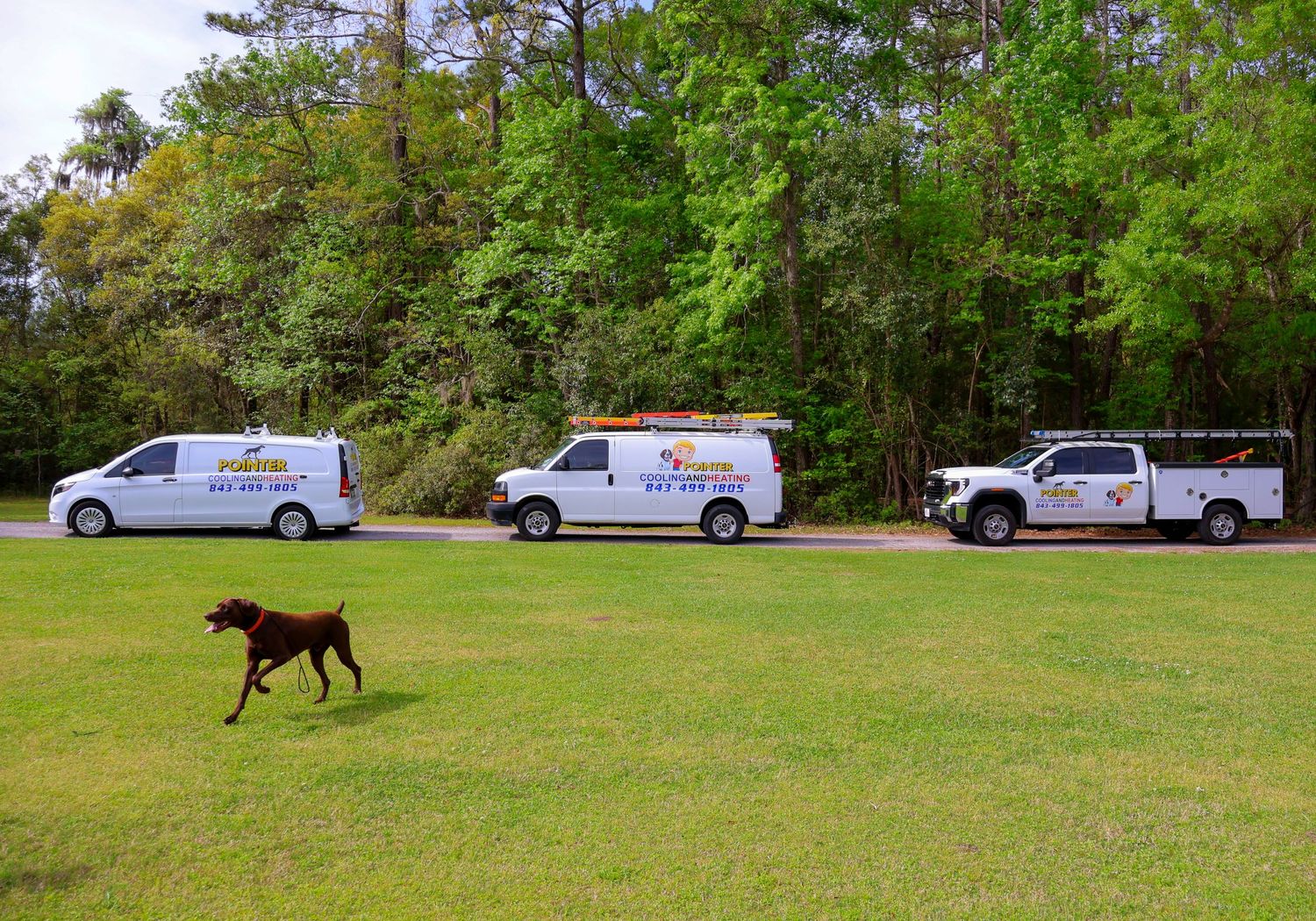 White service vehicles lined up on grass with a horse walking in the background.