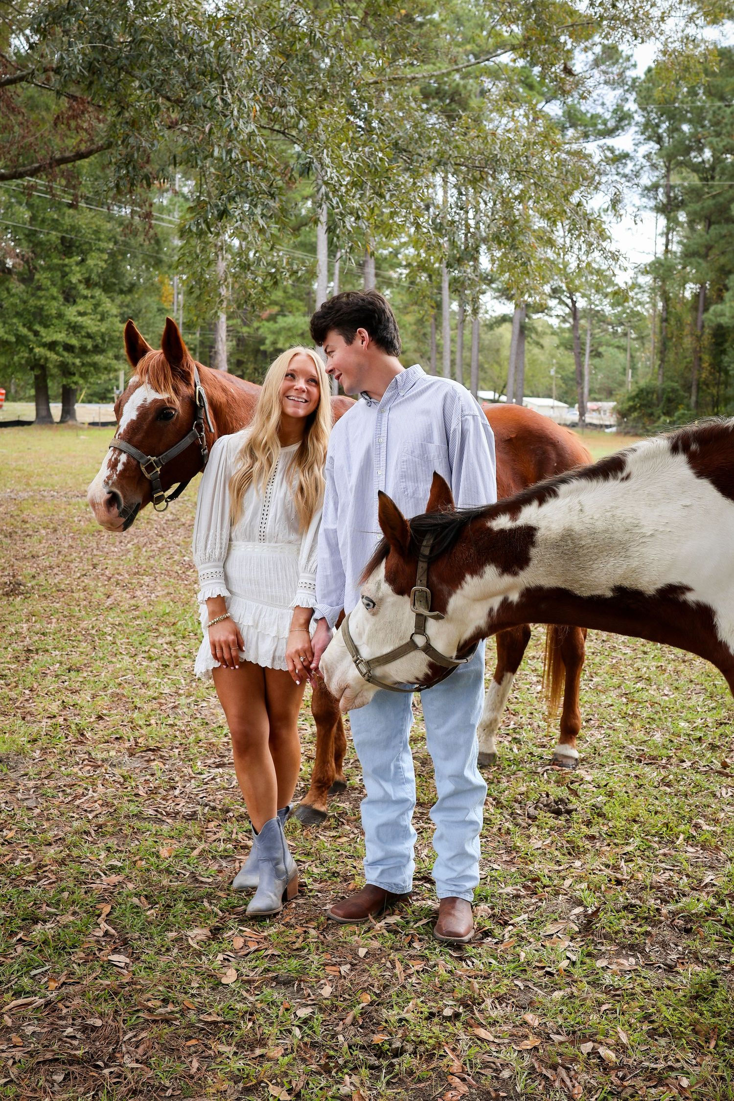 People in casual attire standing with miniature horses in a grassy field.