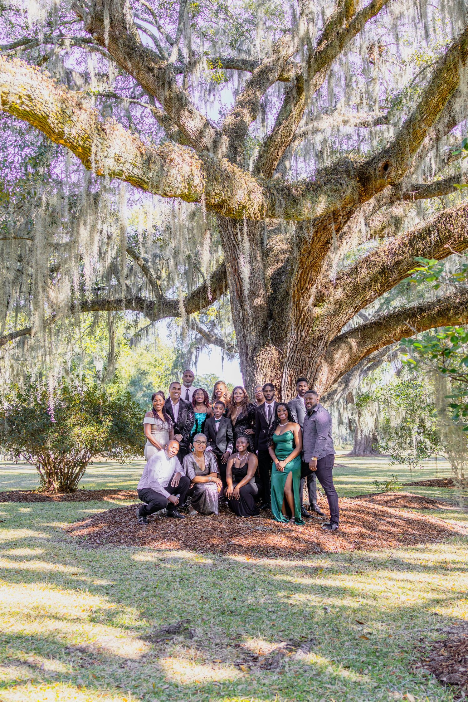 Wedding party gathered under a majestic oak tree with hanging Spanish moss.