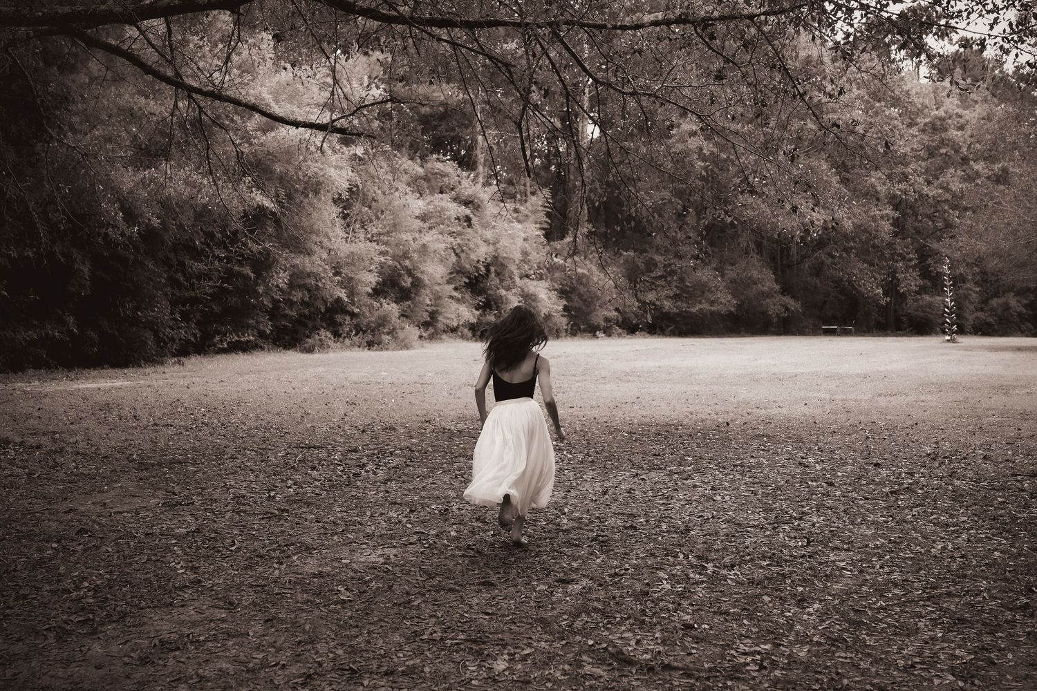 Atmospheric black and white landscape series with figure in distance.