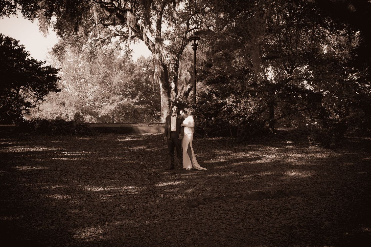 A panoramic black and white landscape photograph of a tree-lined path creating a romantic outdoor setting.