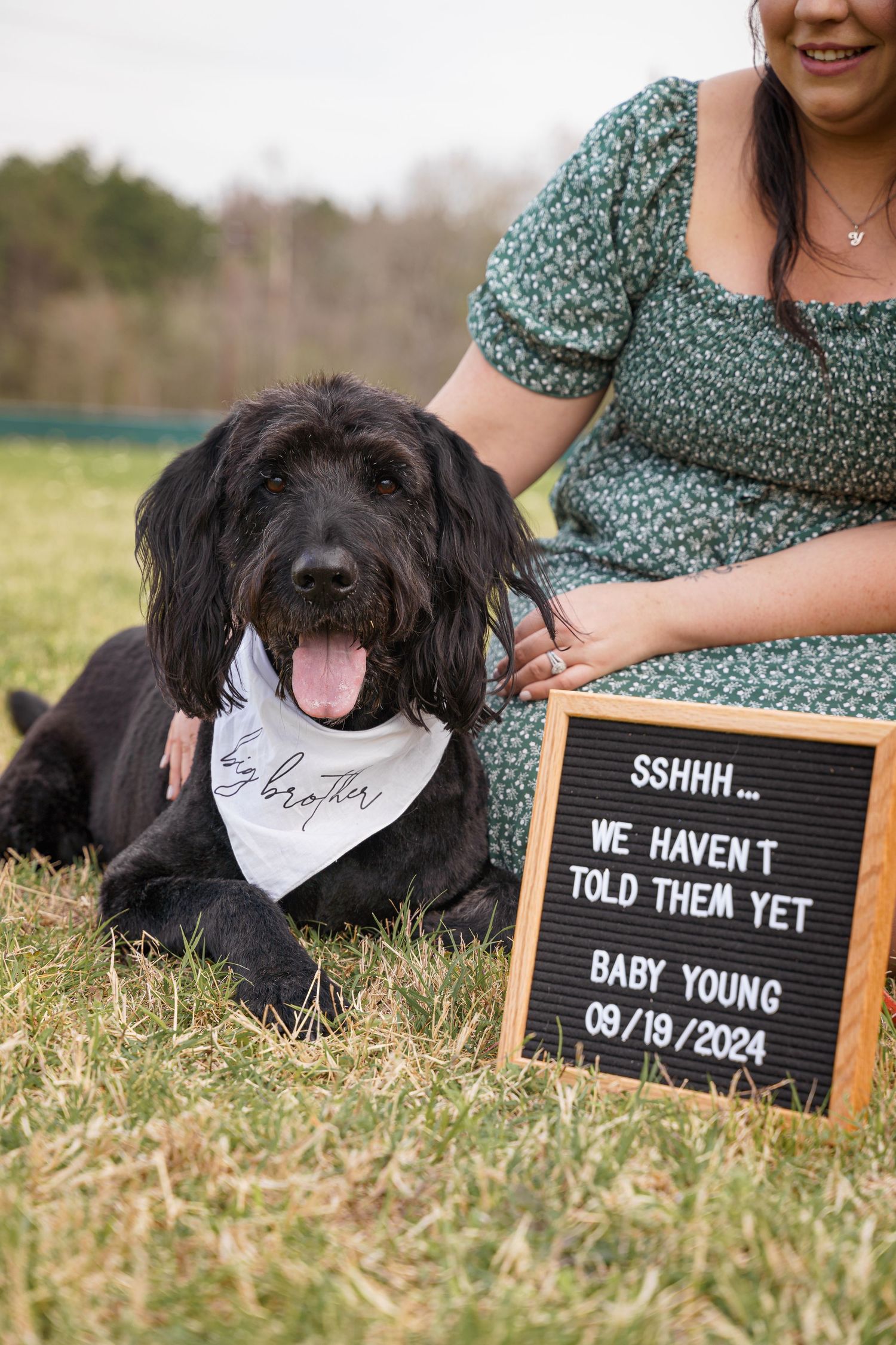 Black dog wearing big brother bandana sits beside pregnancy announcement letterboard sign outdoors with smiling woman in floral dress.