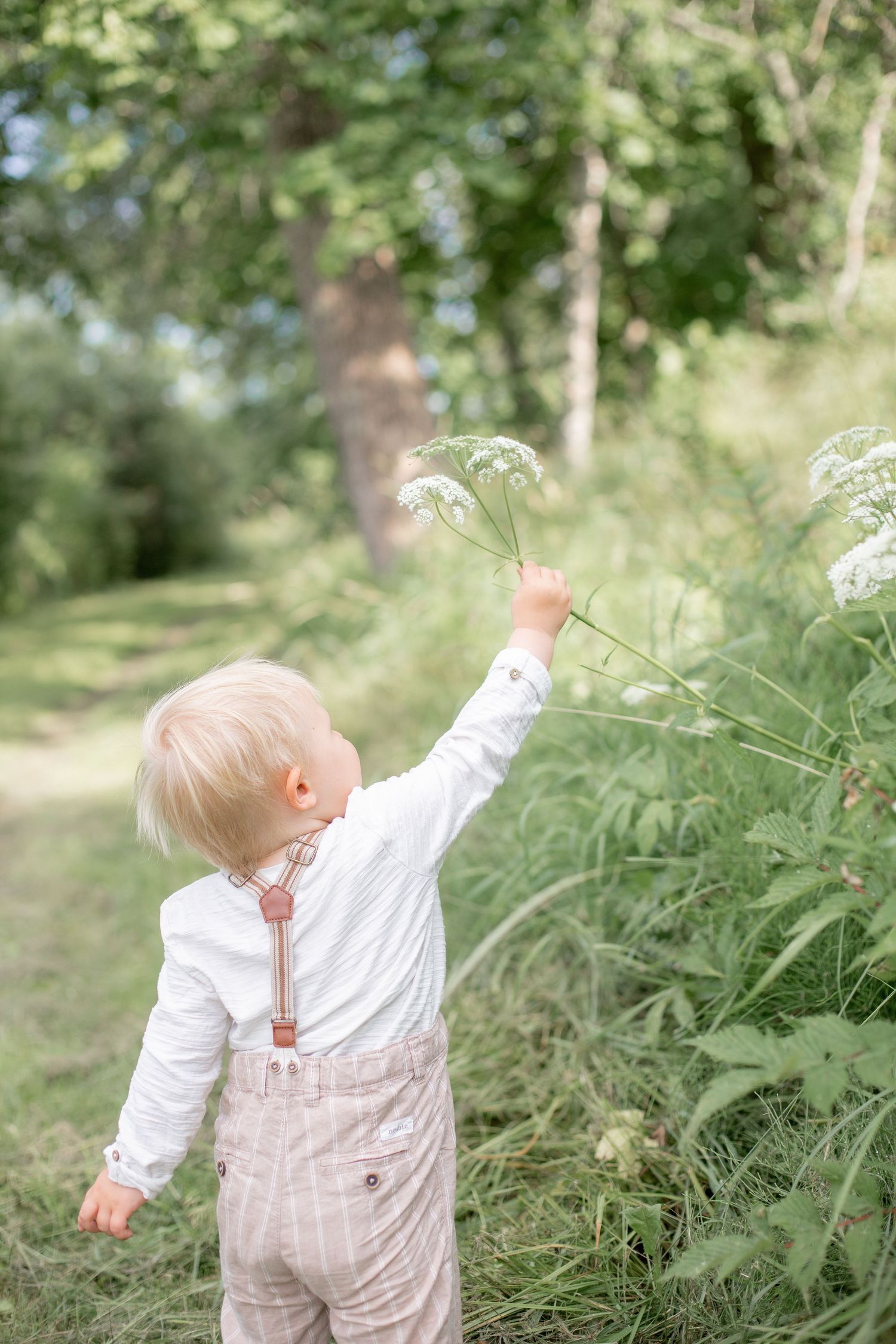 Barnfotografering i Katrineholm, plockar blommor.