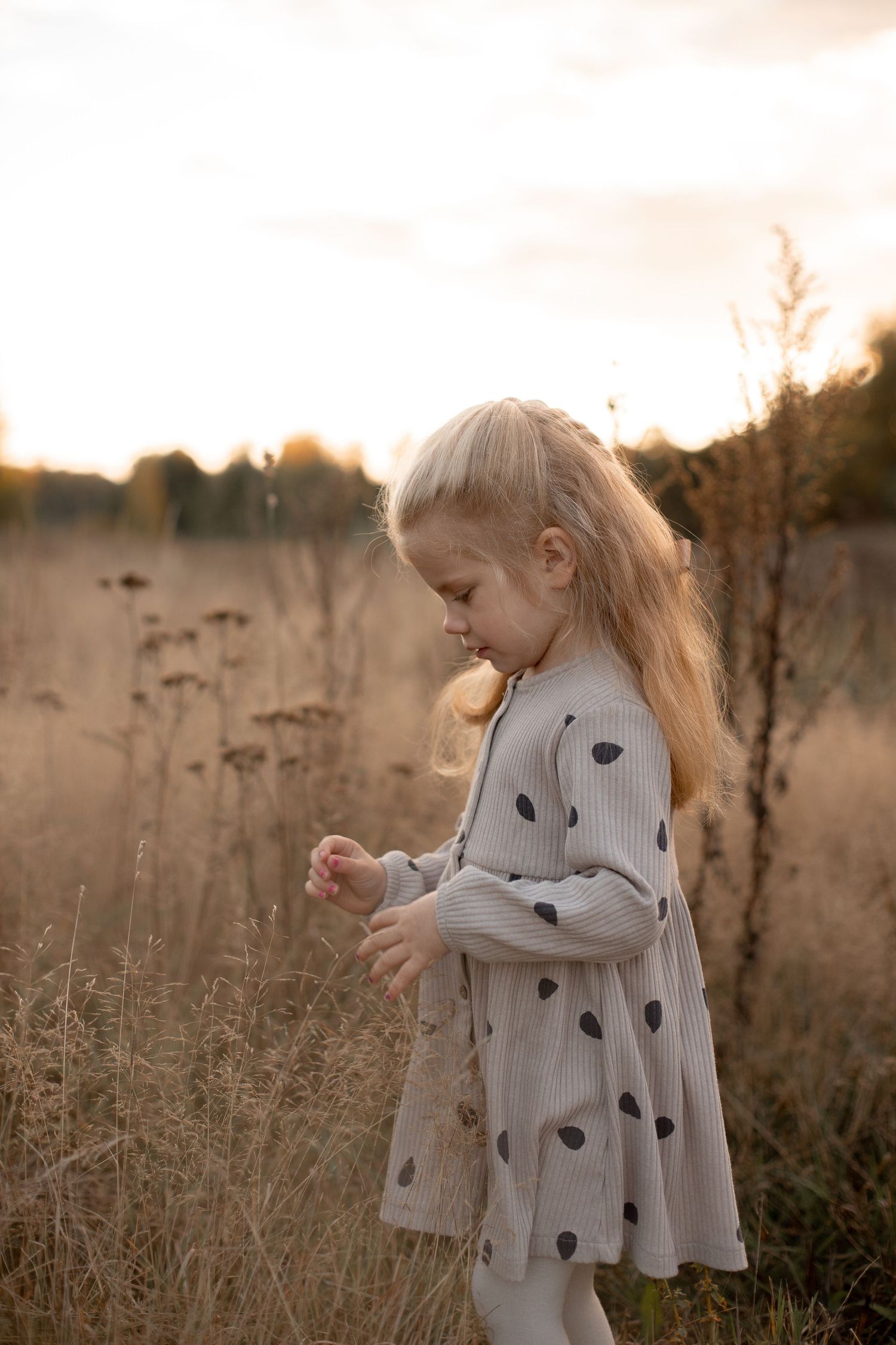 Barnfotografering på en vacker äng i solnedgång. Familjefotograf i Katrineholm.