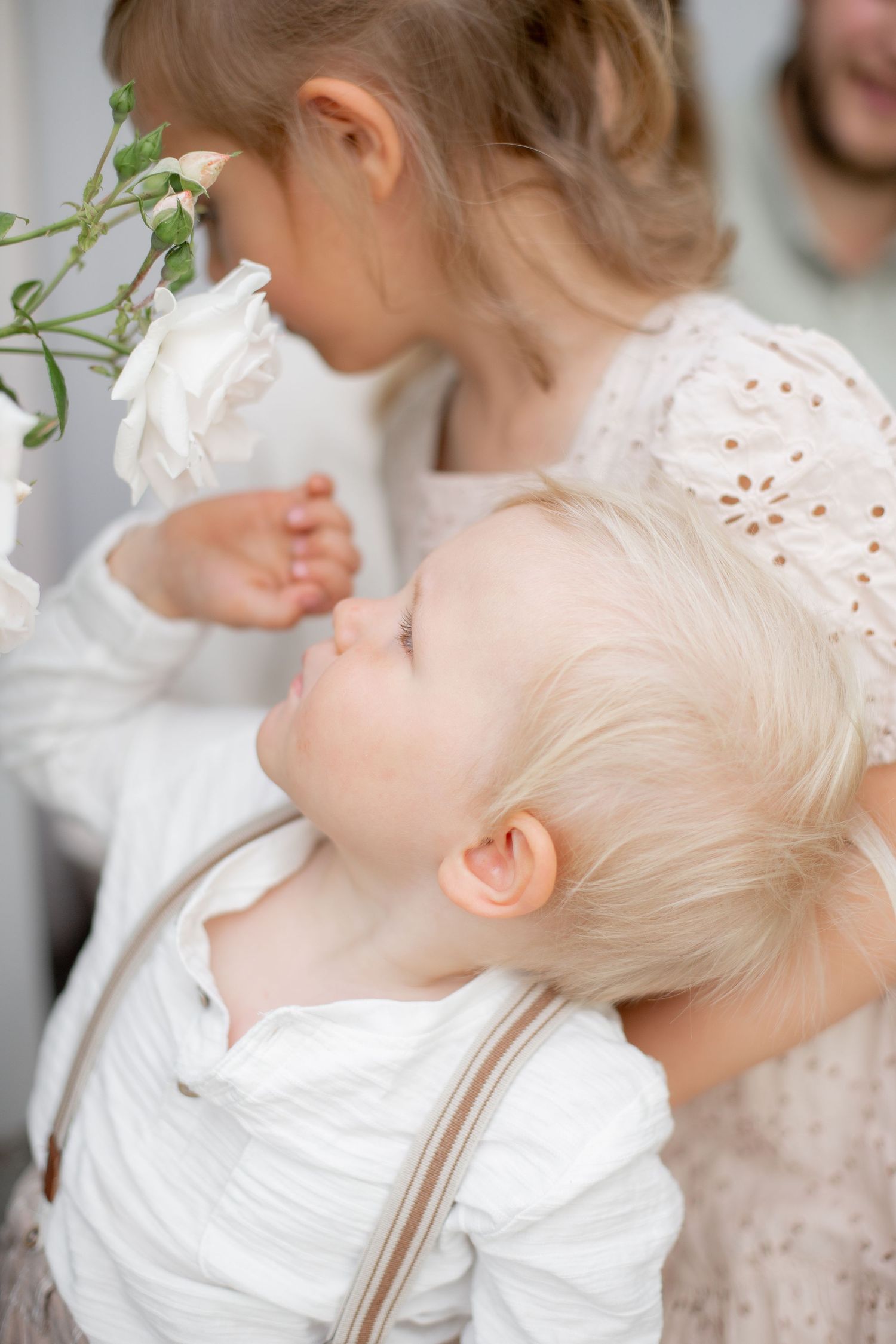 Familjefotografering i Katrineholm, barn luktar på blomma.