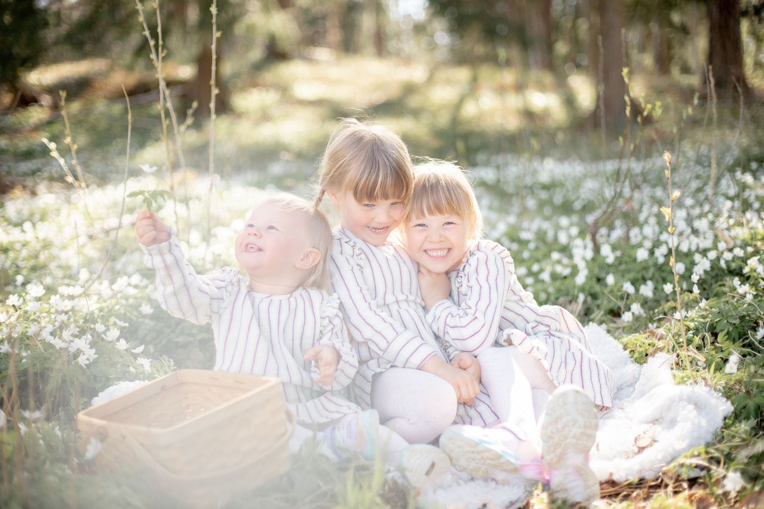 Syskon skrattar och busar bland vitsipporna. Familjefotograf i Katrineholm.