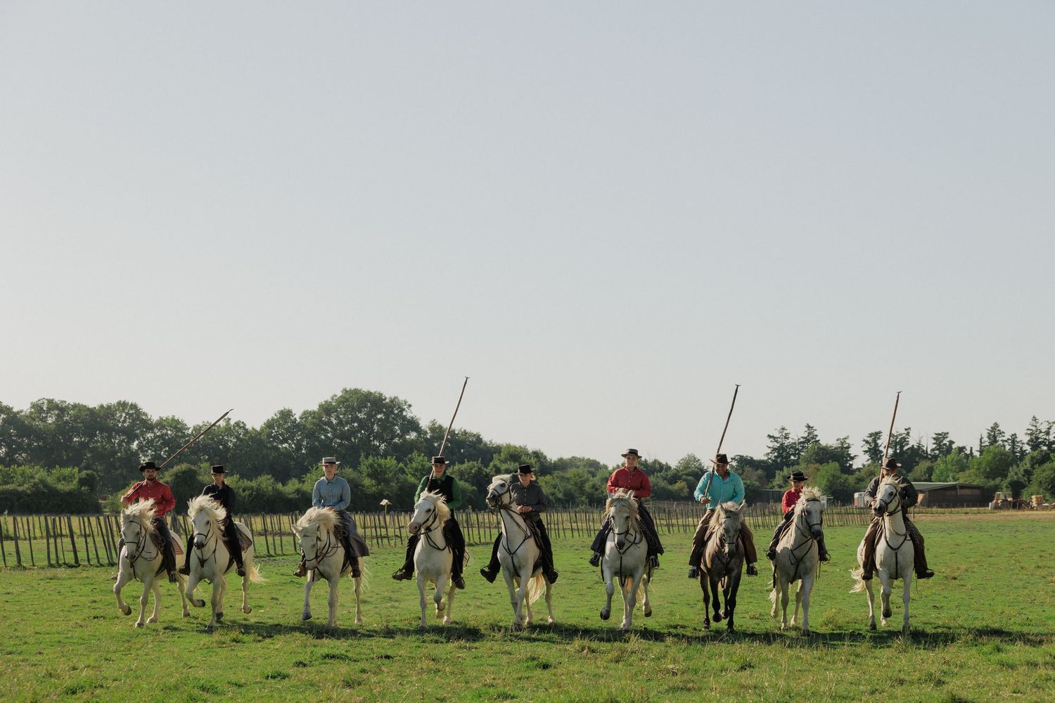 A group of horseback riders holding long poles ride across a green field during an outdoor equestrian activity.