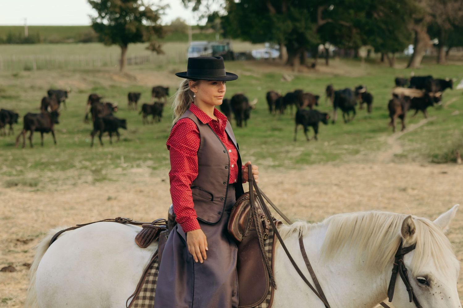 A rider in red and black western attire guides a horse across a field with cattle grazing in the background.