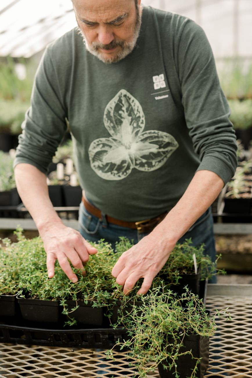 Close-up shots of hands tending to small plants in greenhouse trays.