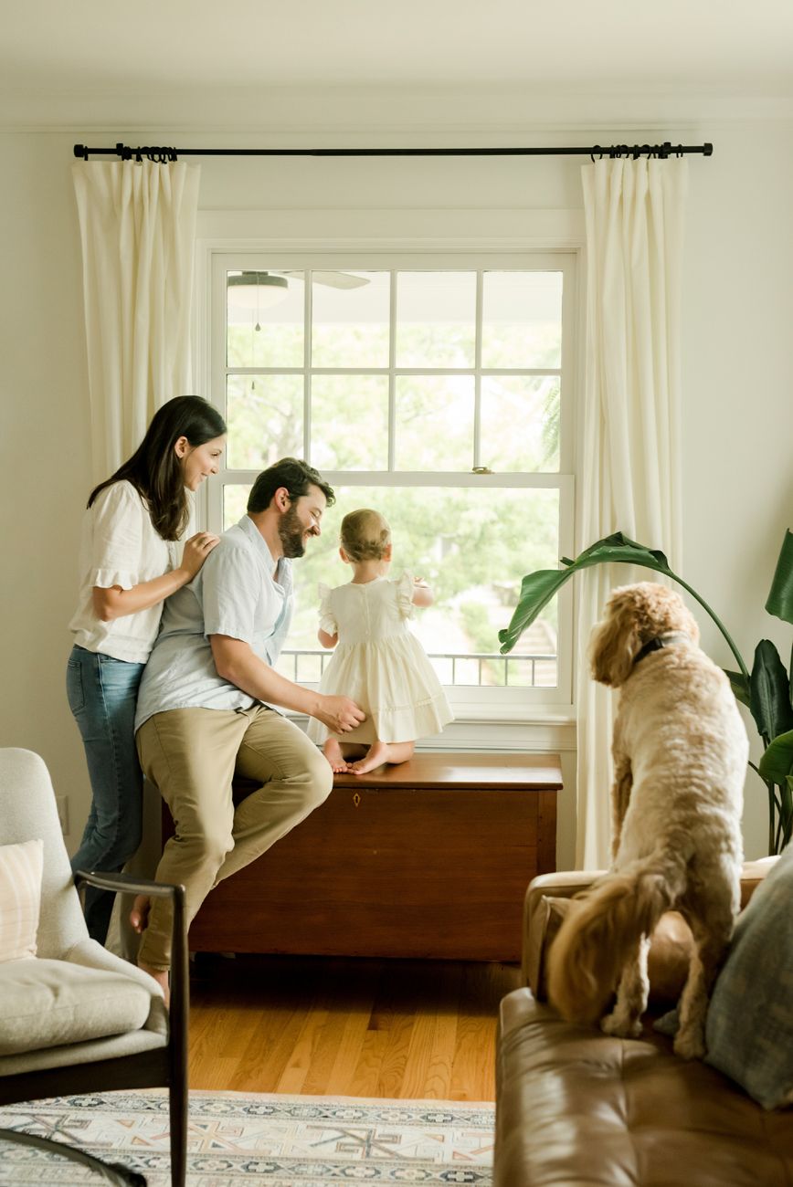 Bright sunlit room with wooden floors showing playful interactions near large windows.