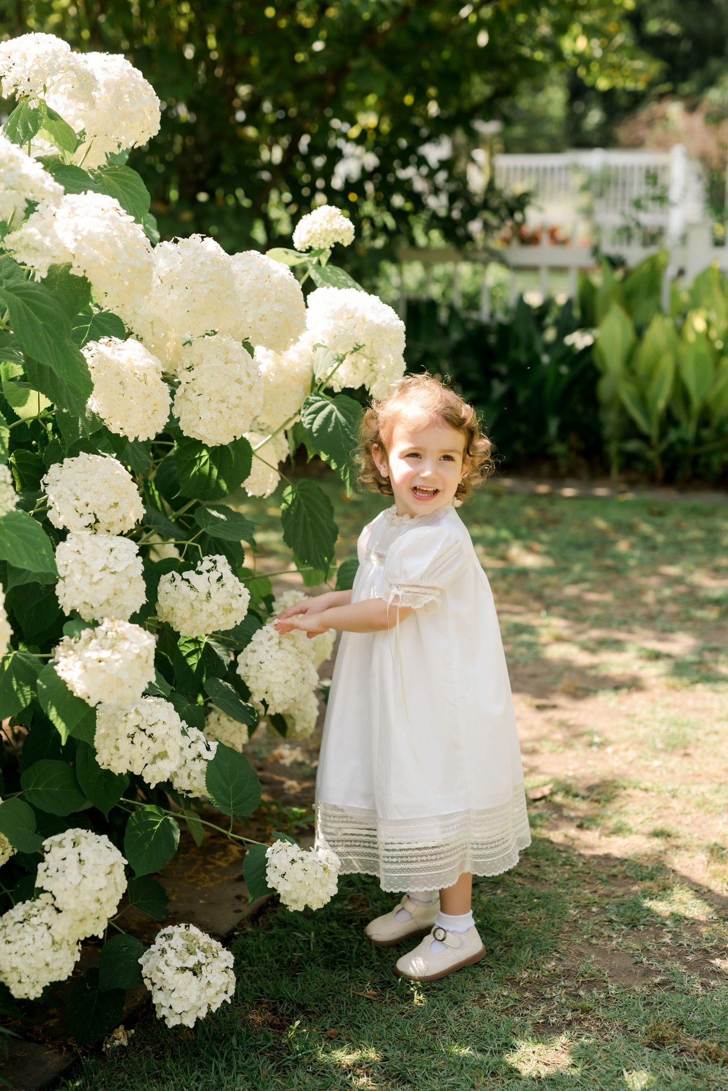 Young child in white dress poses beside blooming white hydrangea bushes in garden.
