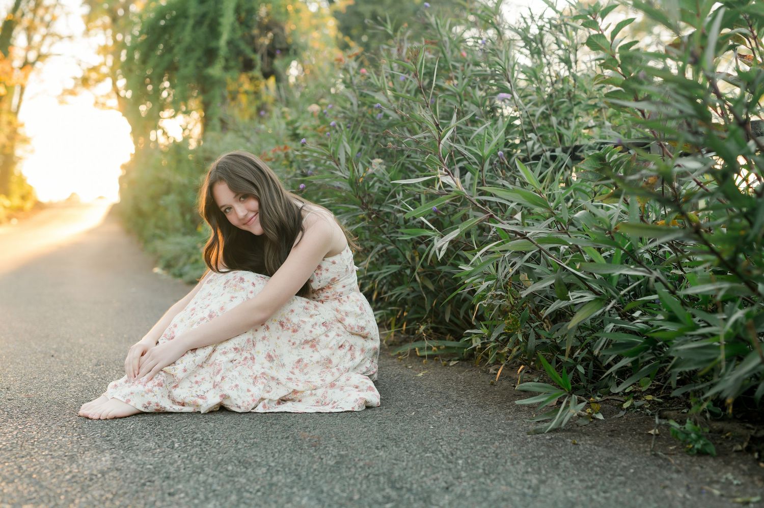 Soft golden sunset light illuminates a garden setting with lush greenery.