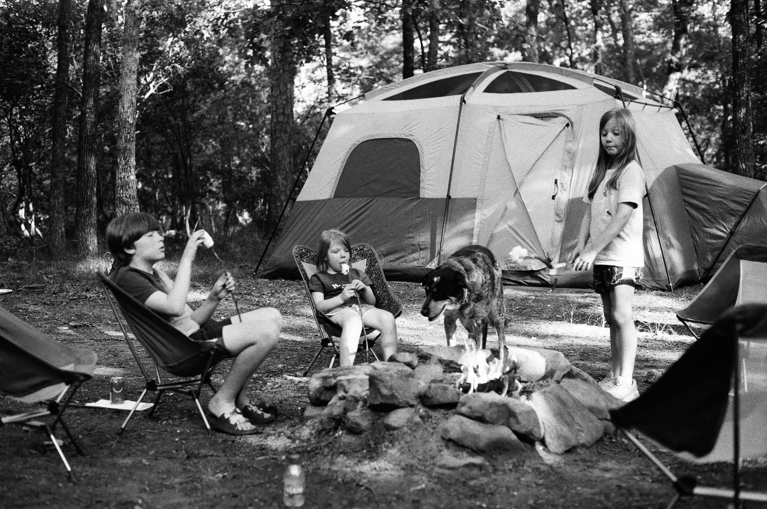 A casual camping scene with people relaxing by a tent while a dog lounges nearby.