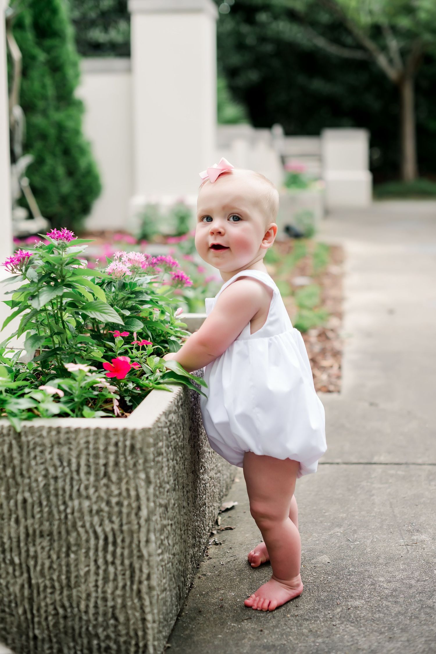 Baby in white romper stands barefoot exploring flowers in a concrete garden planter.