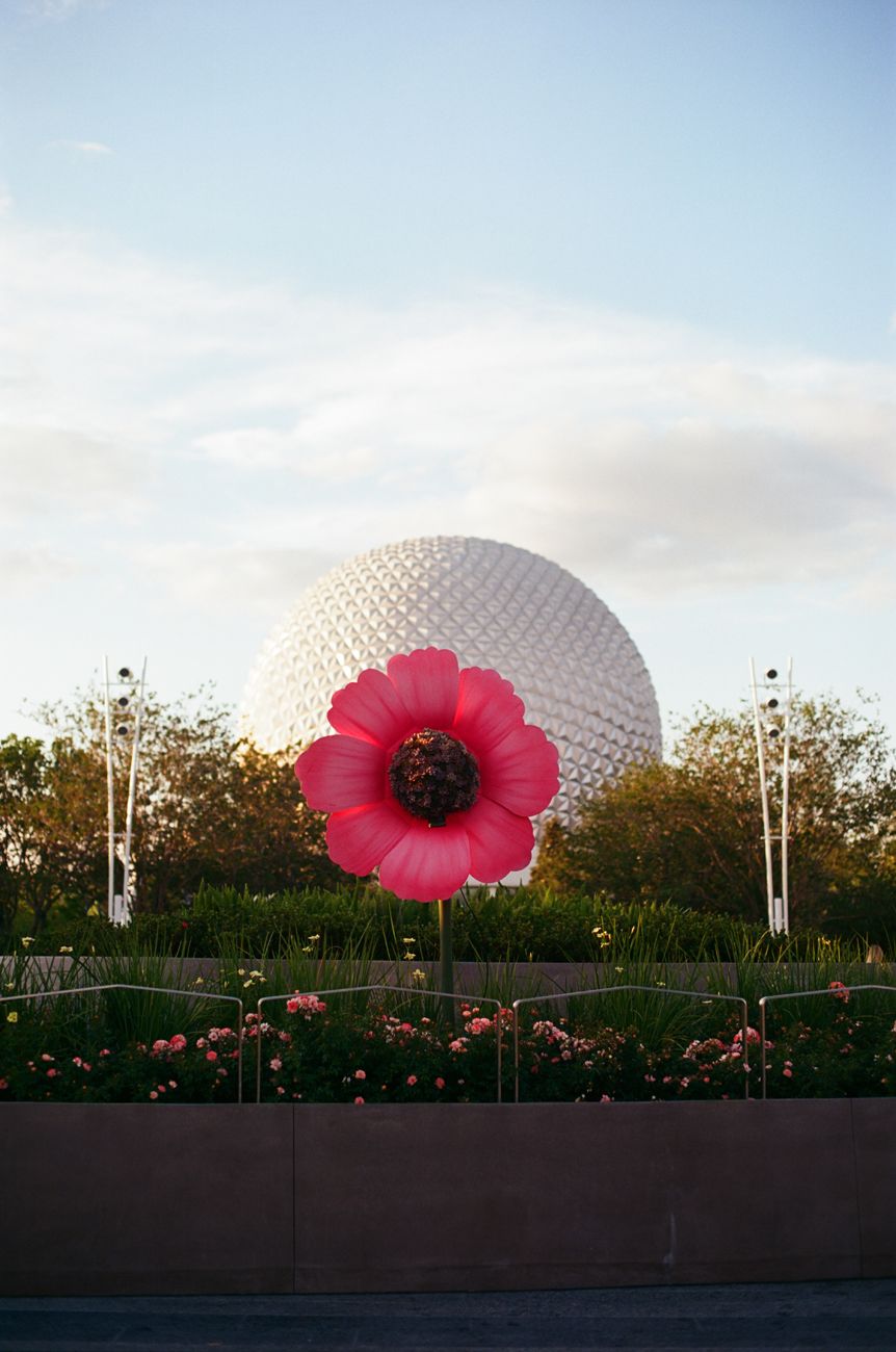 Spaceship Earth at Epcot with a large pink decorative flower in front of the iconic spherical structure.