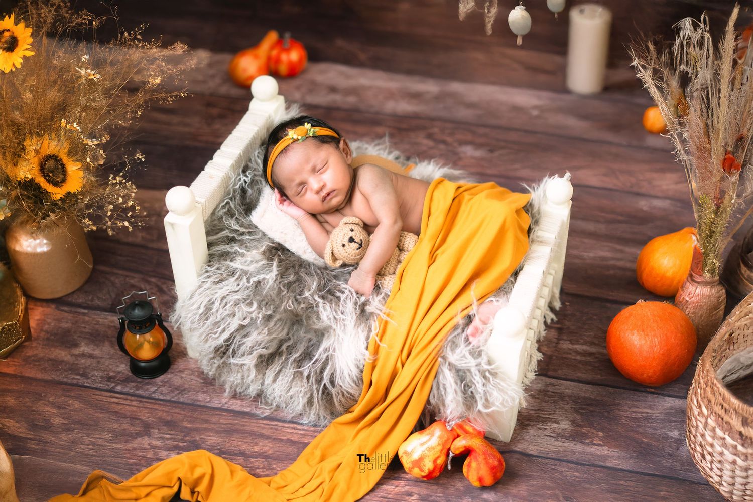Autumn themed newborn photography setup with pumpkins and rustic wooden backdrop.