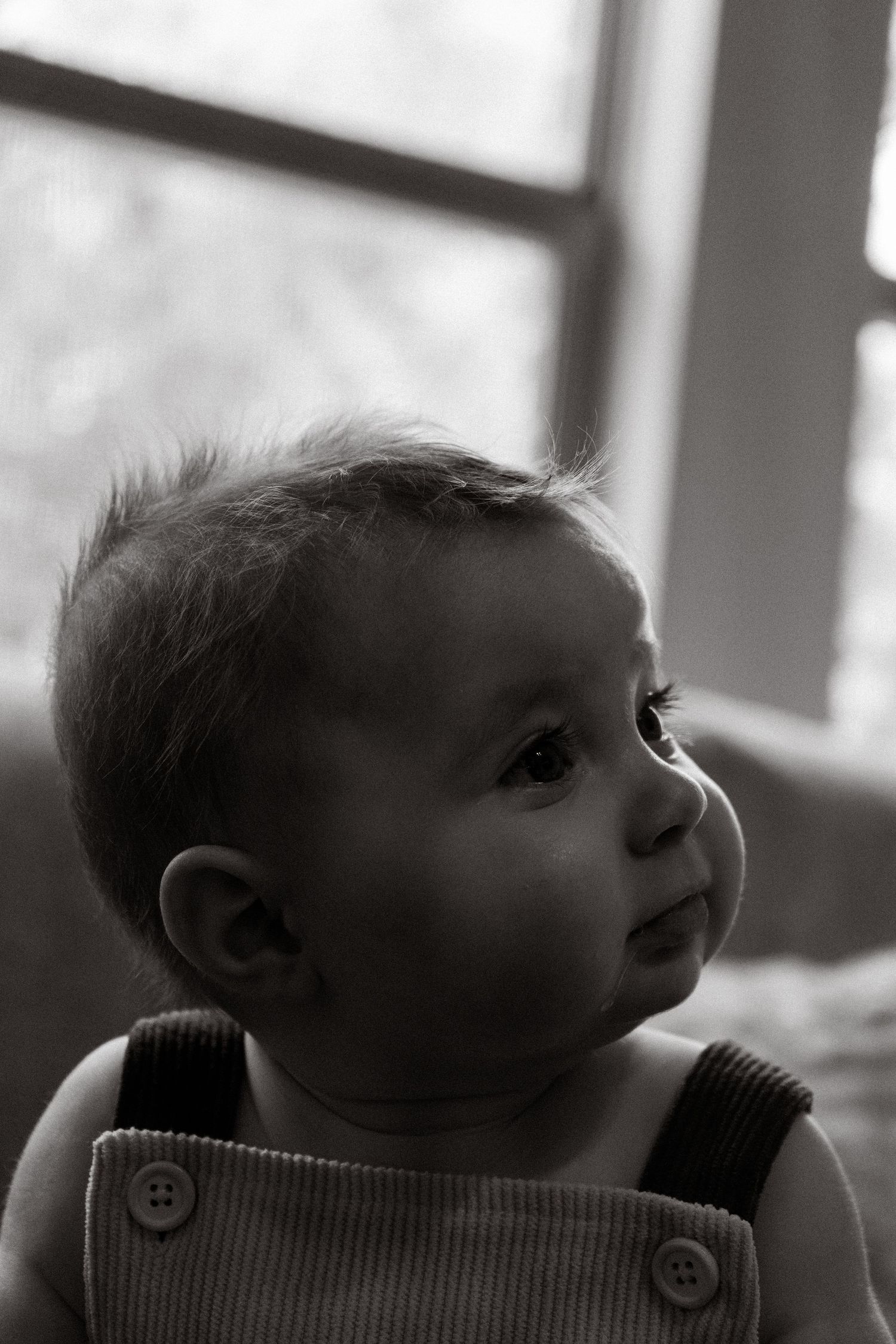 Black and white portrait of an adorable baby in overalls gazing upward near a bright window.