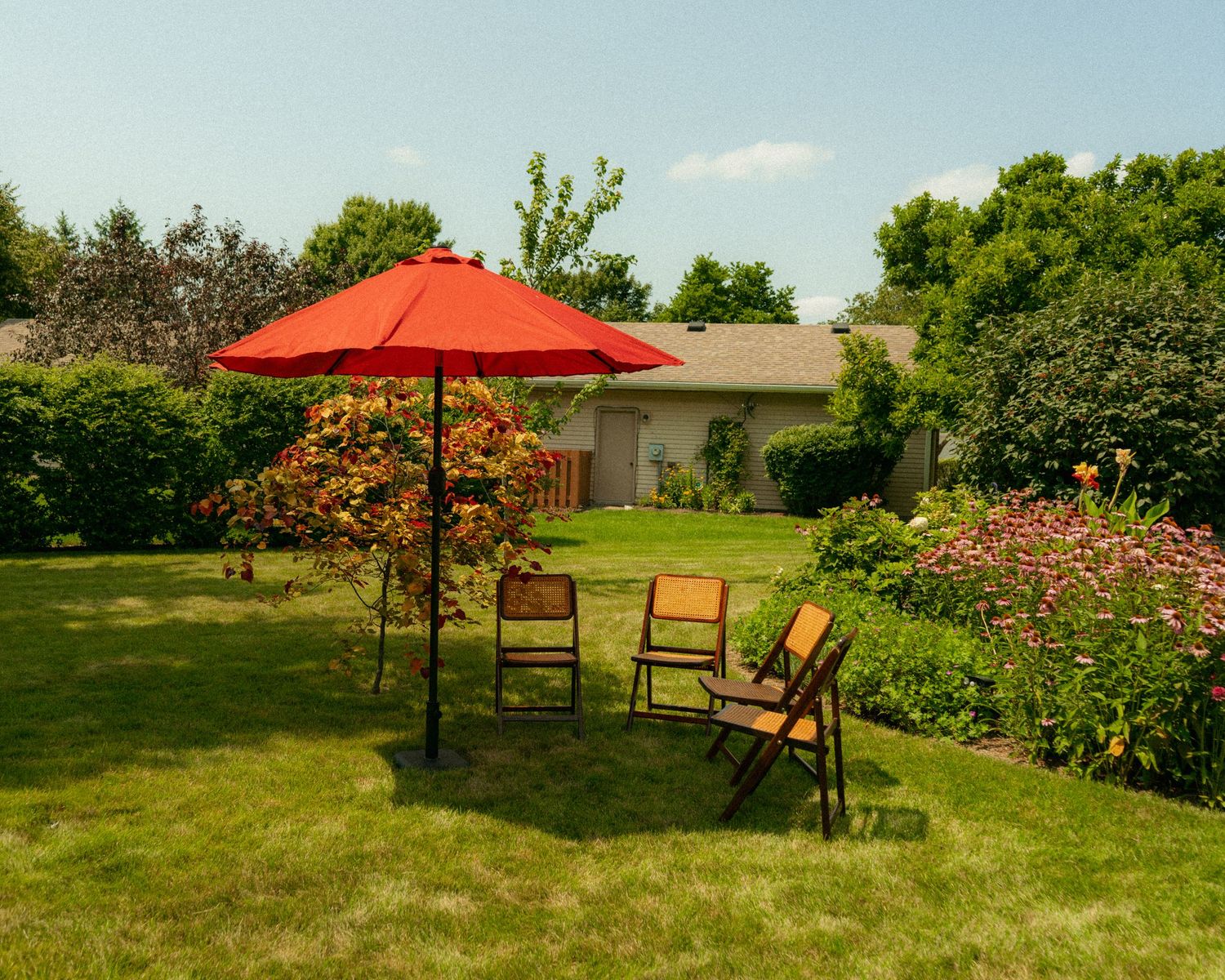 Red patio umbrella with wooden chairs on lush green lawn with colorful garden and house in background on sunny day.