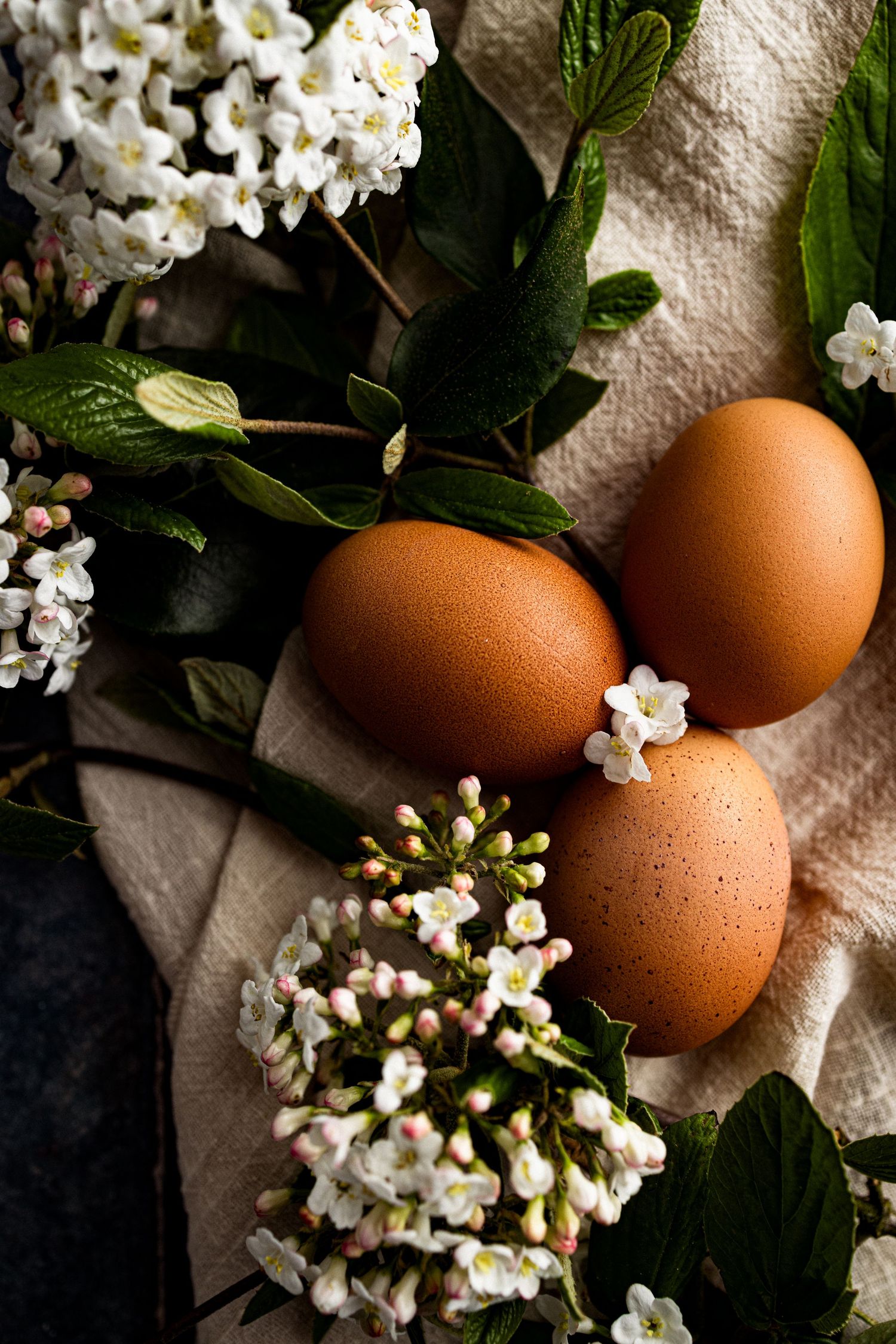 Seasonal lifestyle content photography of eggs by an East Kent content photographer.