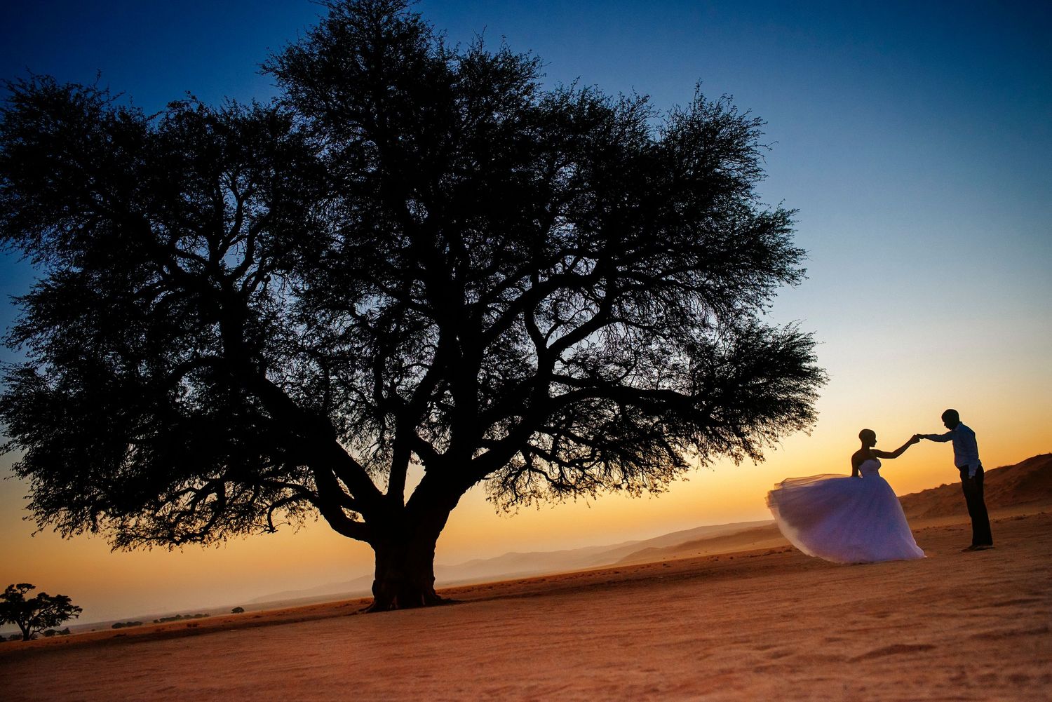 Silhouettes of trees against a vibrant sunset sky create a dramatic panoramic sequence at dusk.