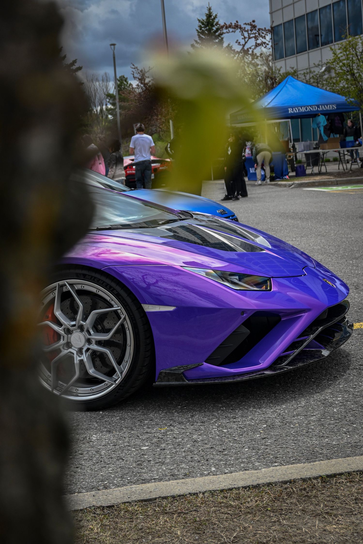 Profile view of a metallic purple sports car parked on a street, partially obscured by a tree foreground.