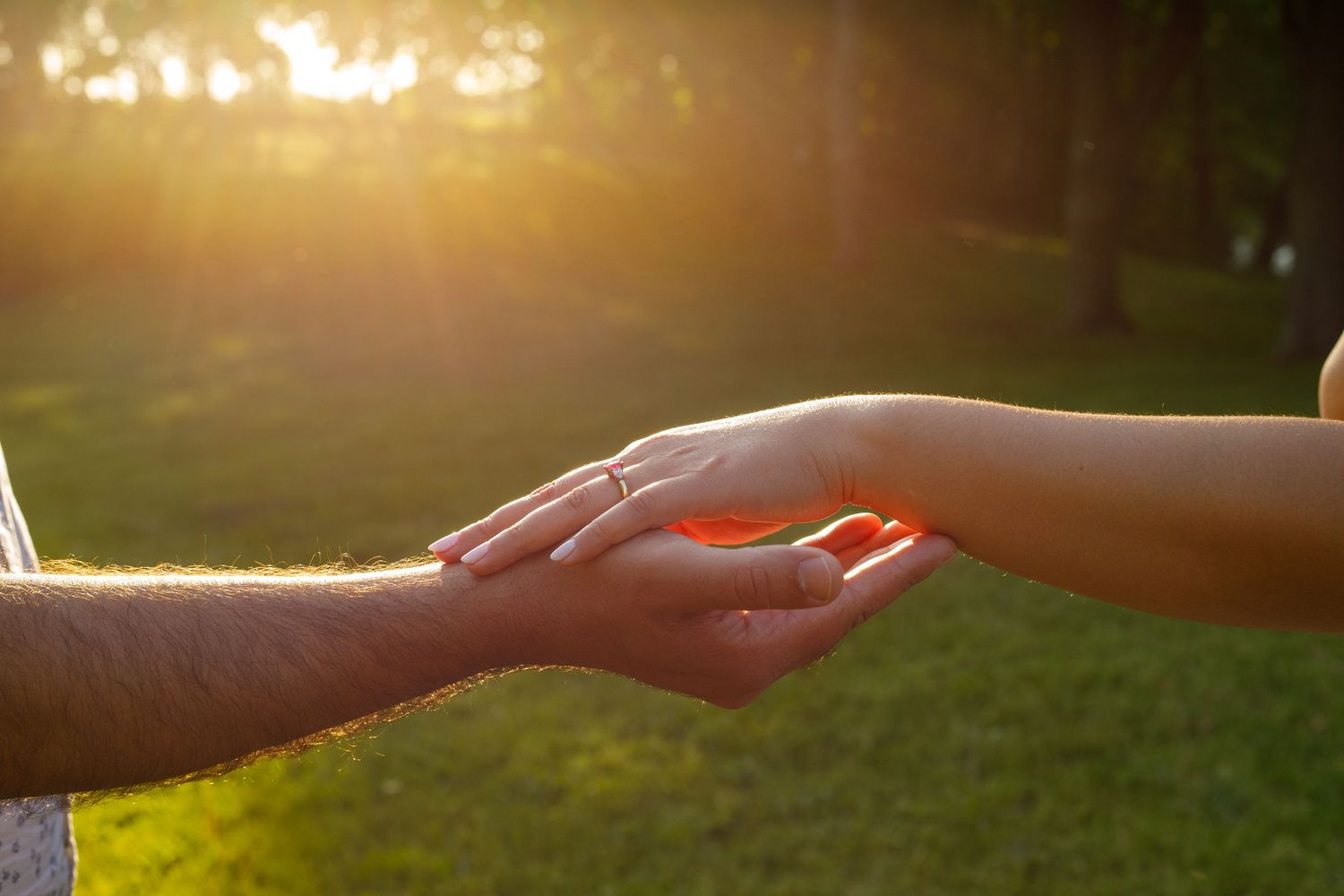 Dorchester, Ontario Engagement Sessions Hands Touching