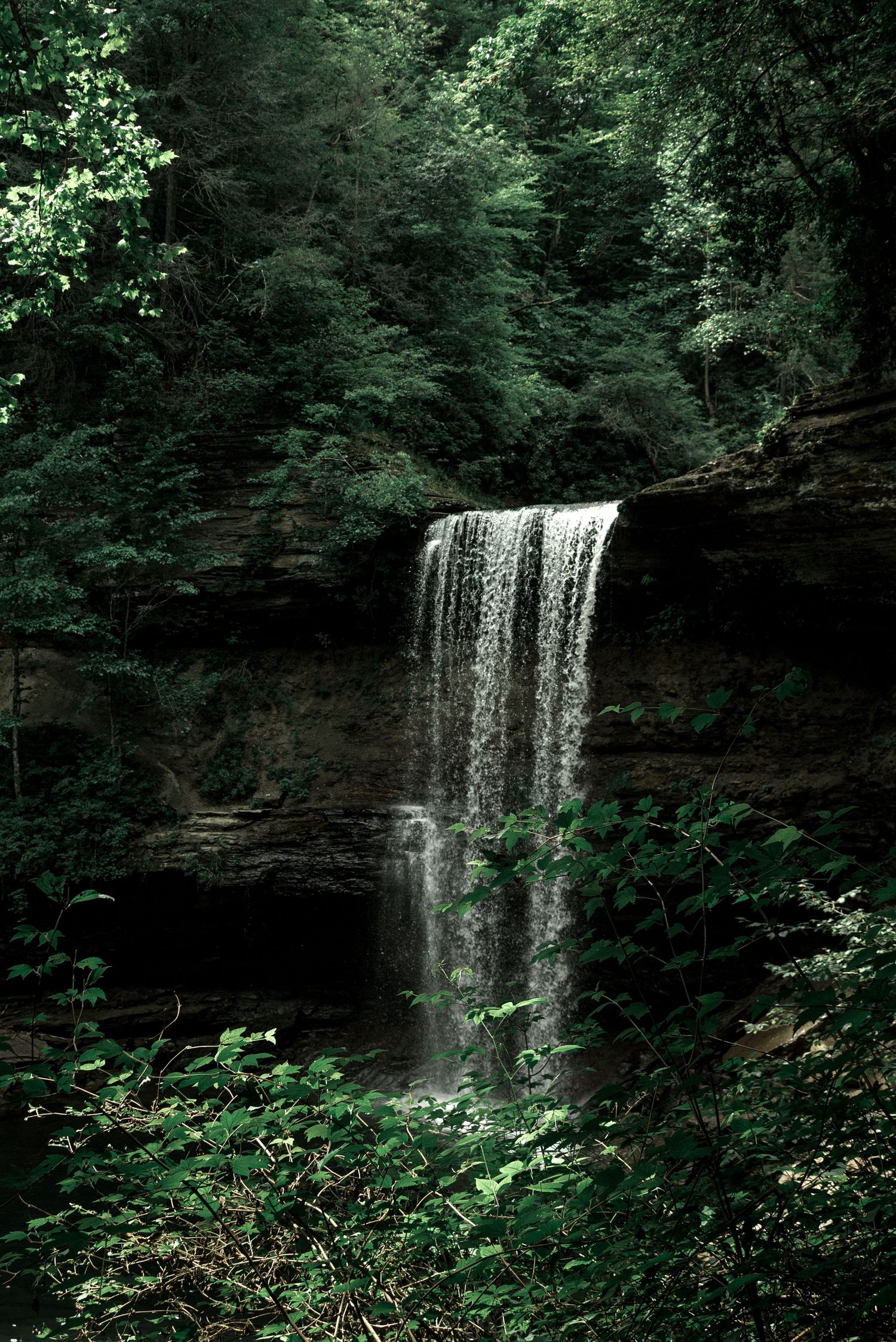 Serene waterfall cascading over a rocky cliff surrounded by lush green forest trees in nature by Ashley Renee Gallery.