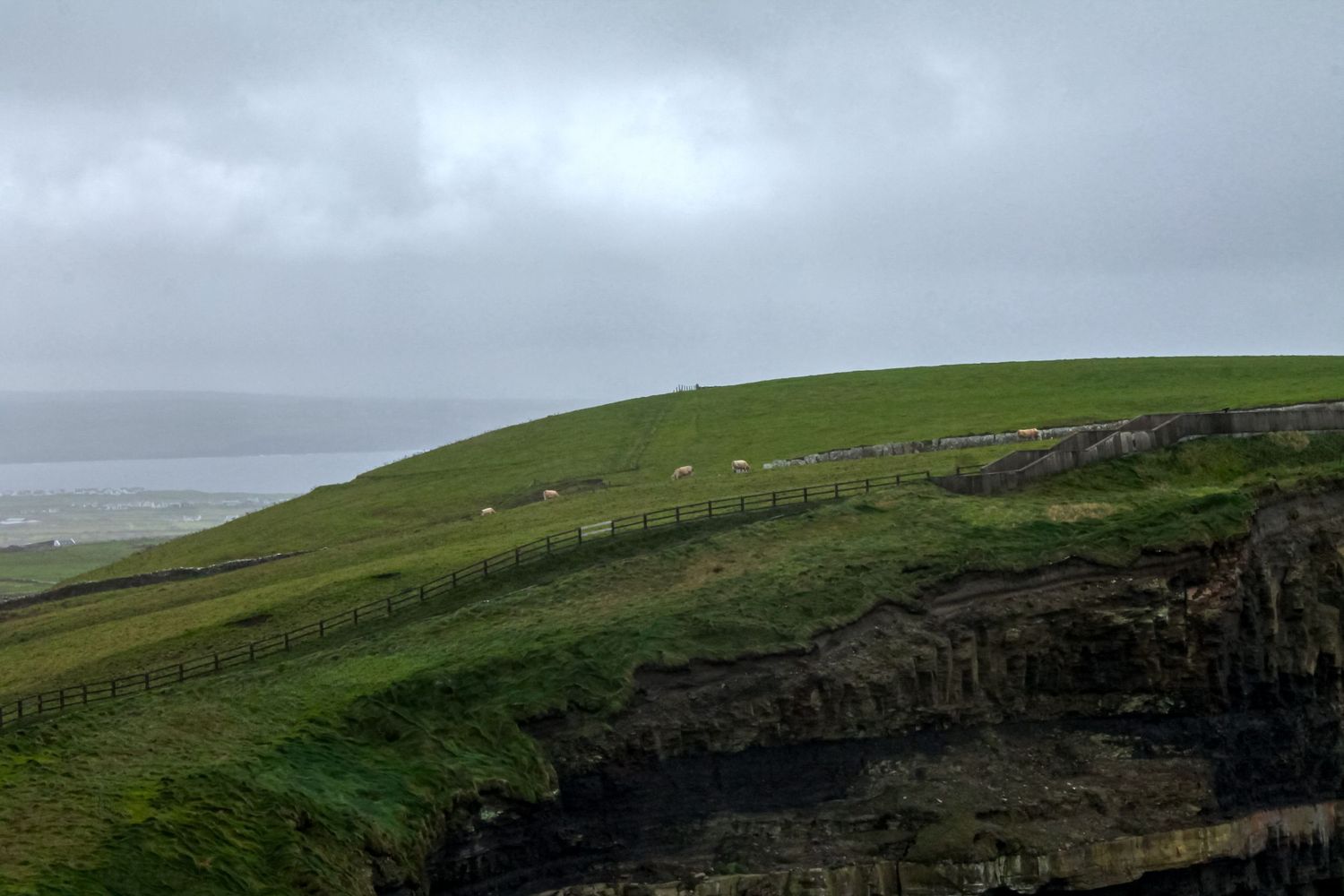Lush green cliffs overlooking the ocean under overcast skies with grazing sheep on the hillside.