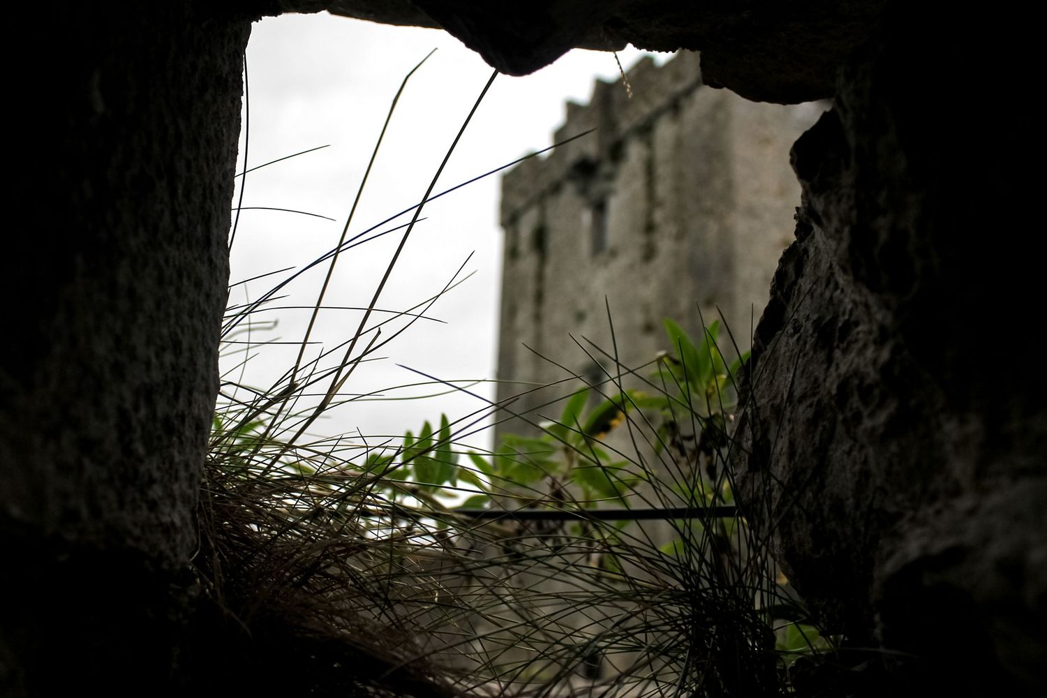 View through a broken stone wall opening revealing an ancient castle tower with wild grass and plants growing by Ashley Renee Gallery.