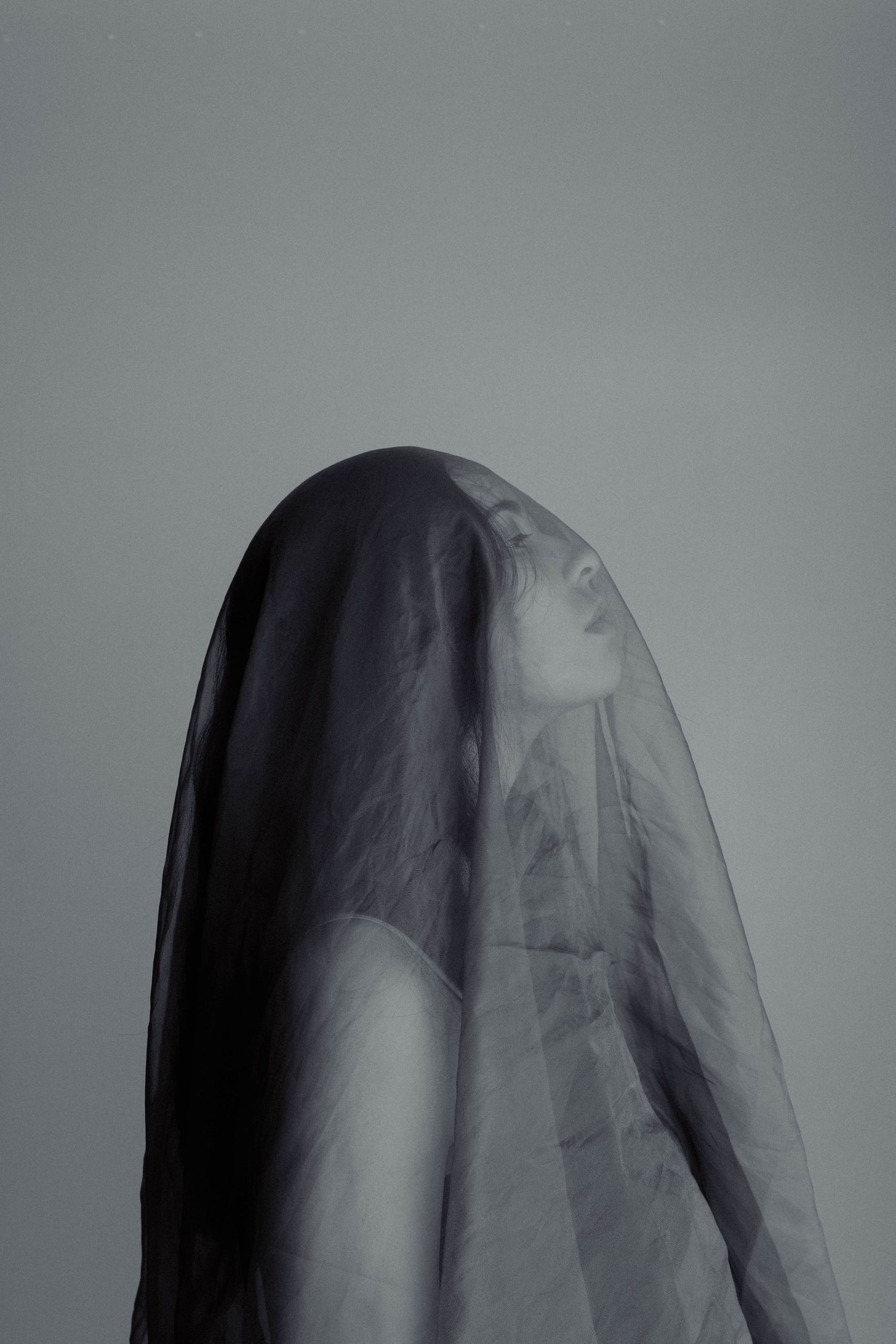 Mysterious artistic portrait of a person draped in a dark sheer veil on grey background.