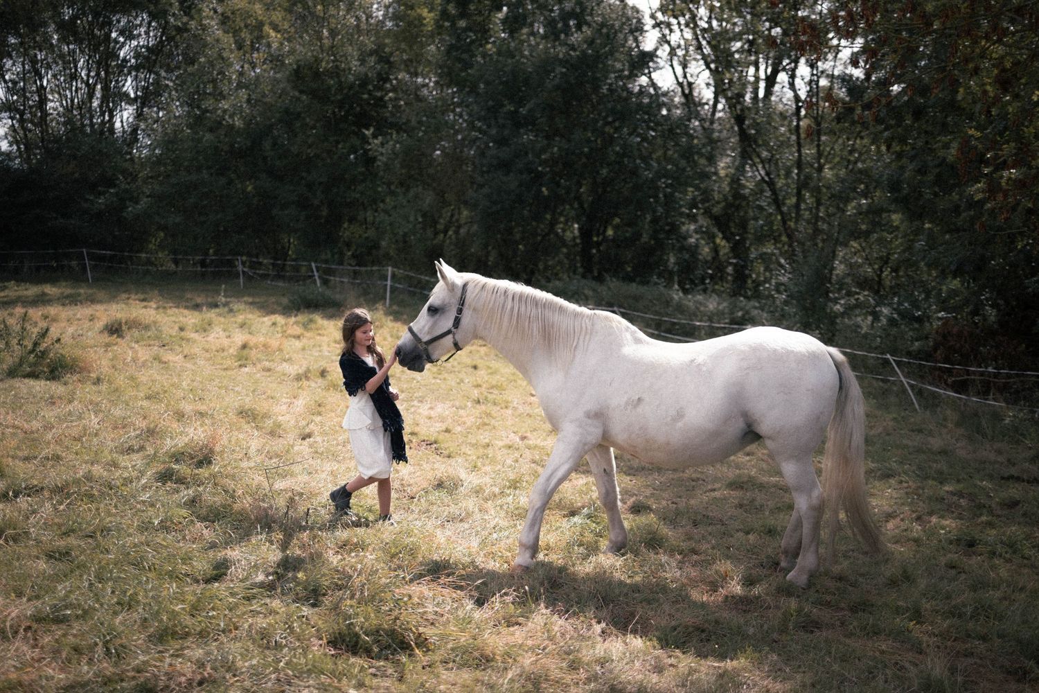 A young woman in a black and white dress leads a white horse across a grassy autumn field.